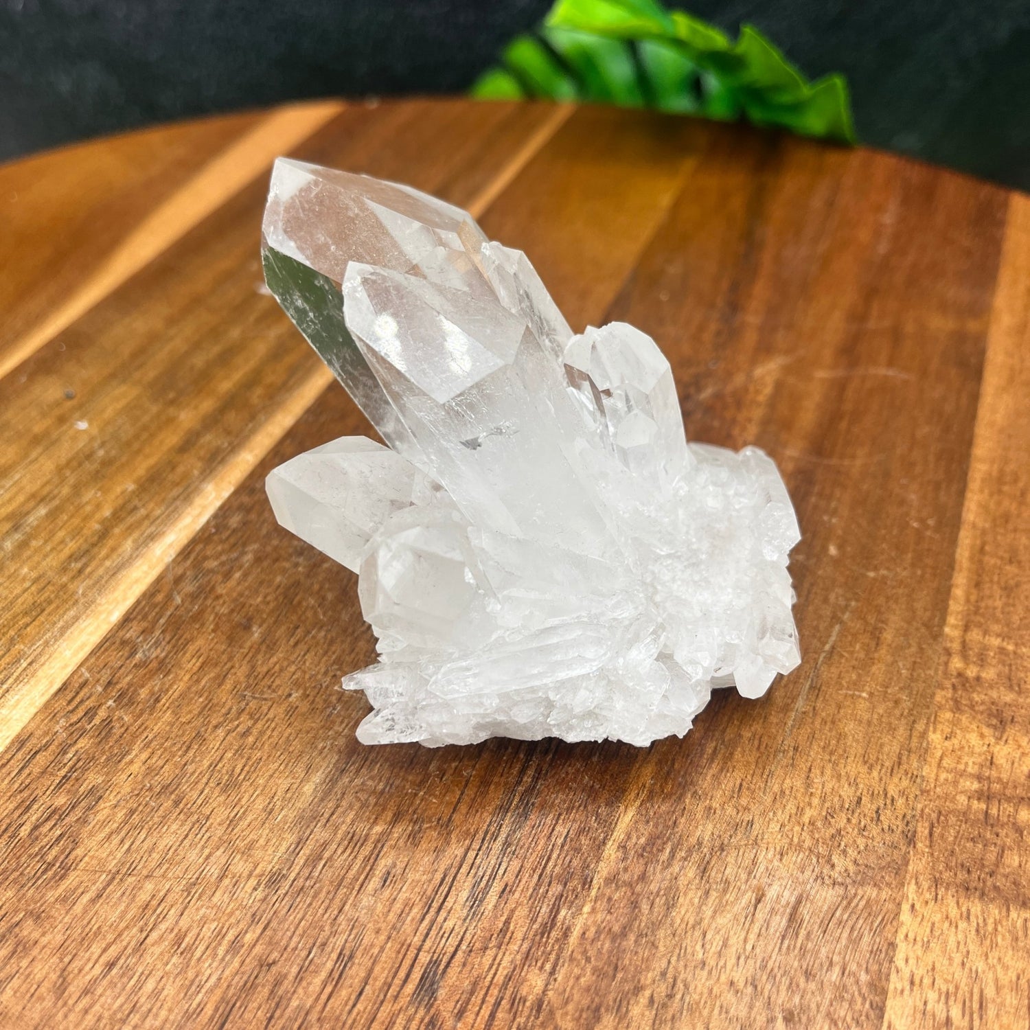 Clear Quartz Small Cluster - Sage & Magic