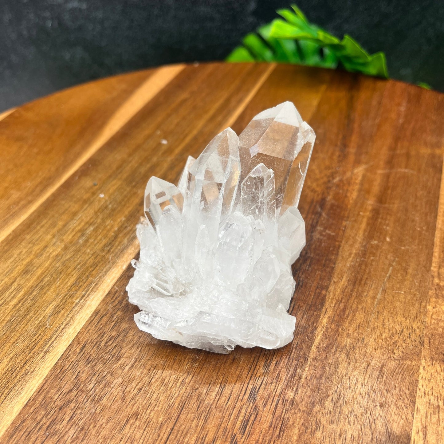 Clear Quartz Small Cluster - Sage & Magic