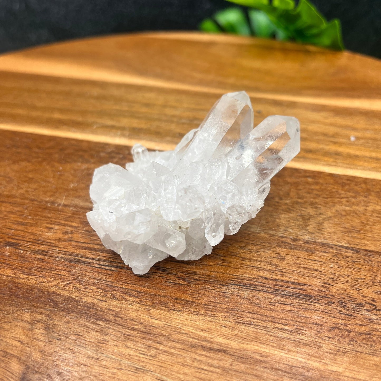 Clear Quartz Small Cluster - Sage & Magic