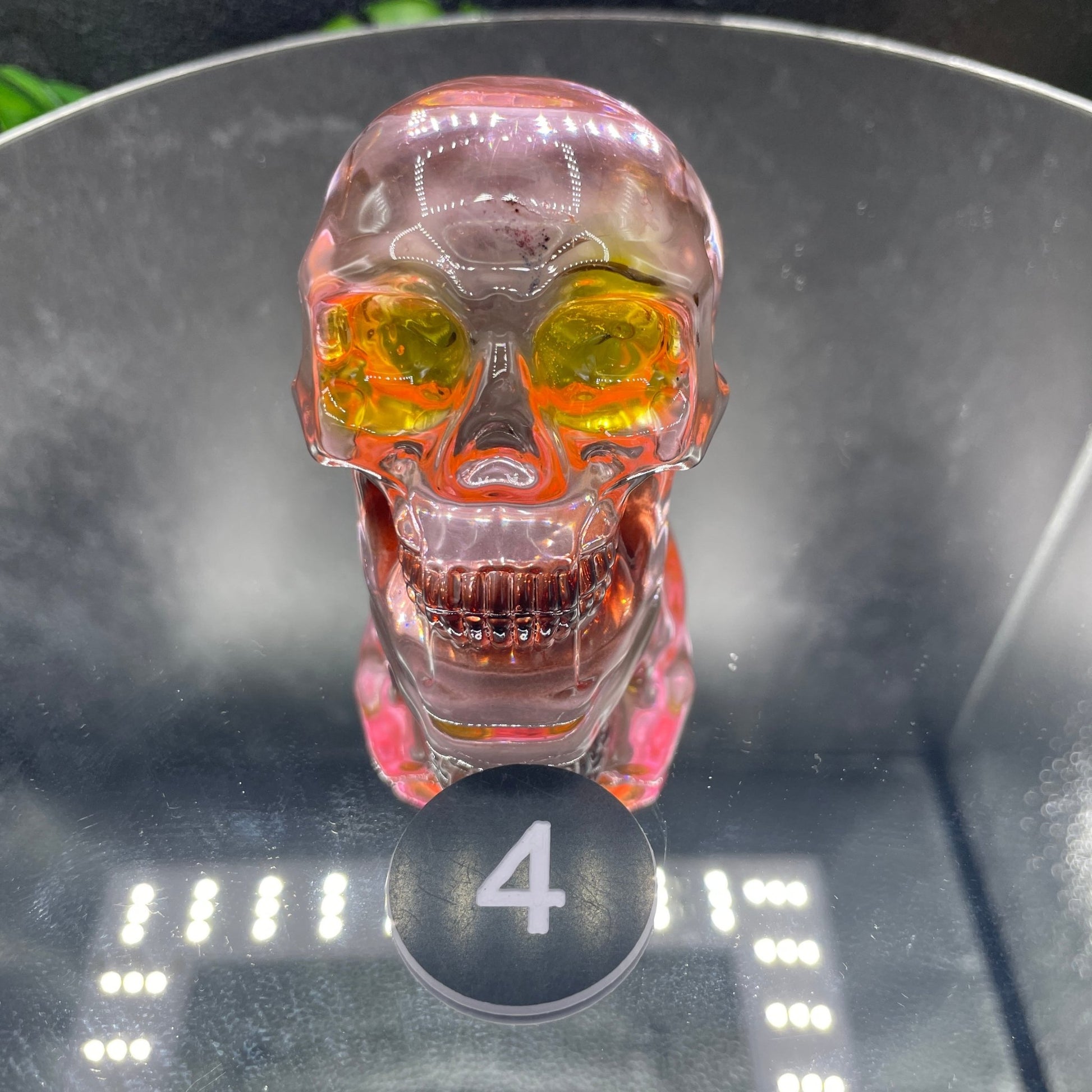 Cosmic Glass Skull - Sage & Magic