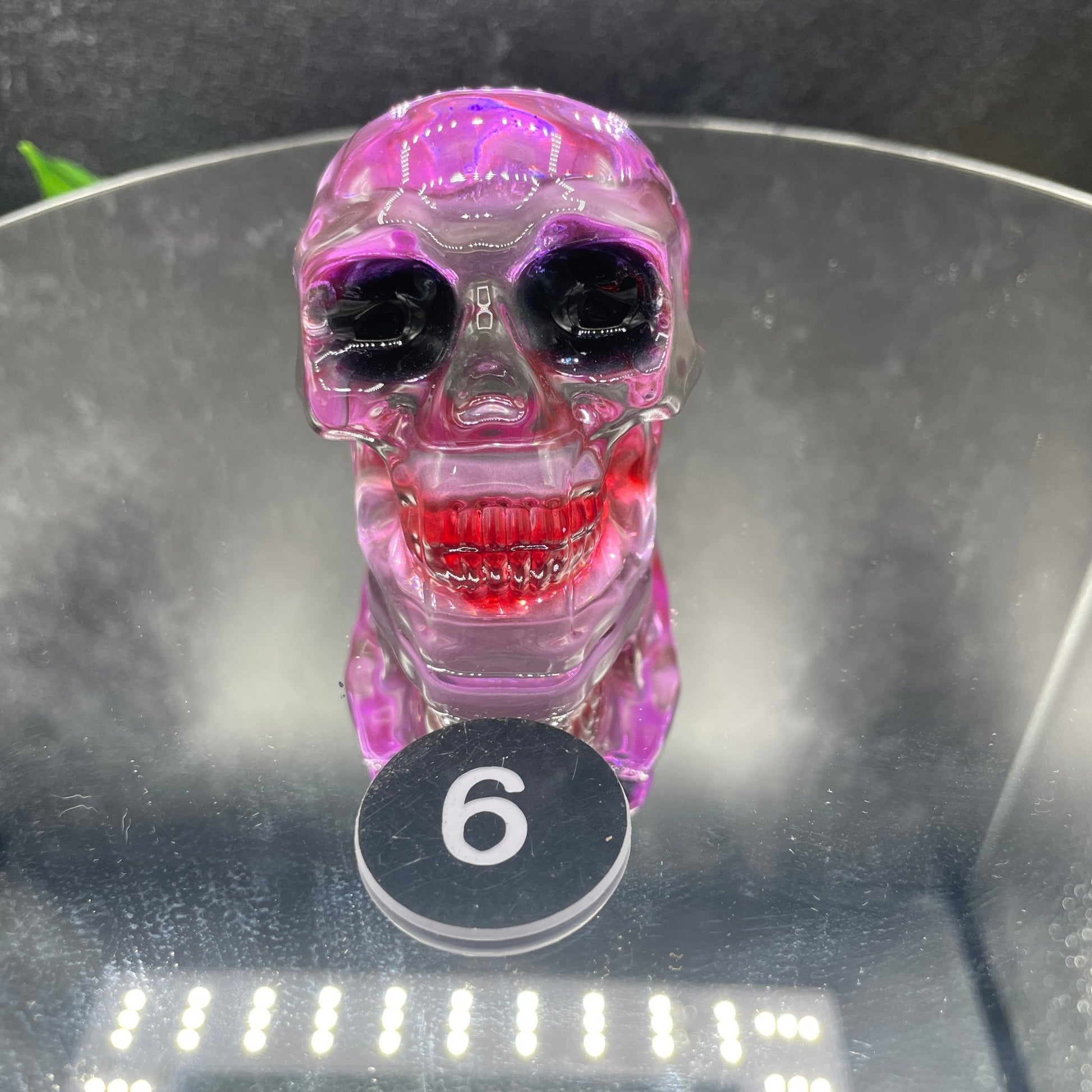 Cosmic Glass Skull - Sage & Magic