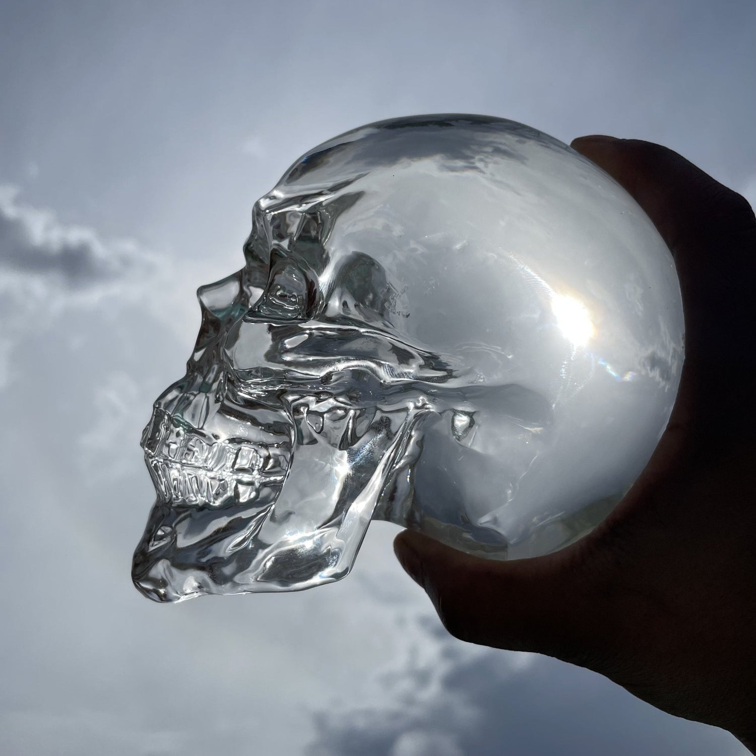 Crystal Clear Glass Skull - Sage & Magic