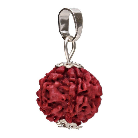 Rudraksha Seed Pendant