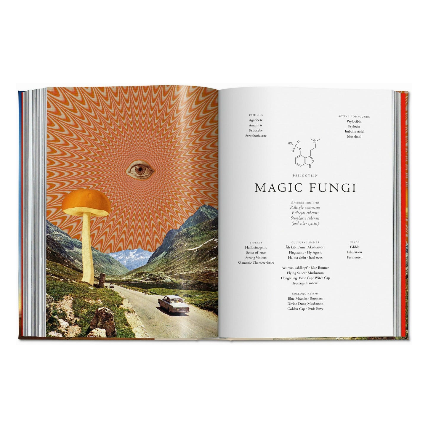 Plant Magick. The Library of Esoterica (English)