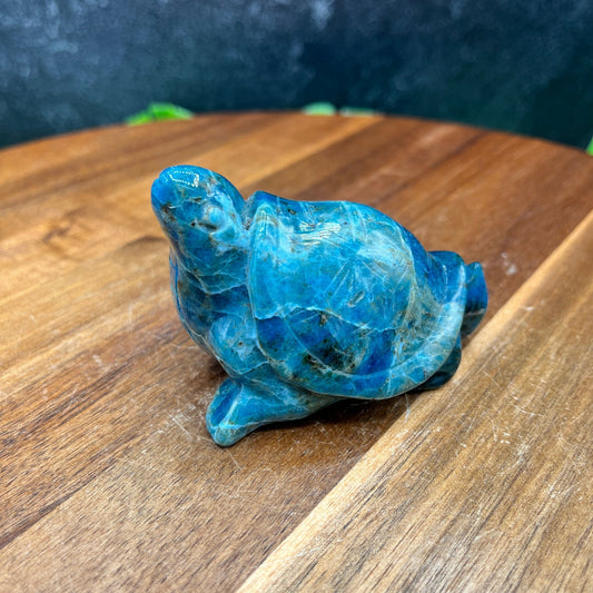 Dark Blue Apatite Turtle - Sage & Magic