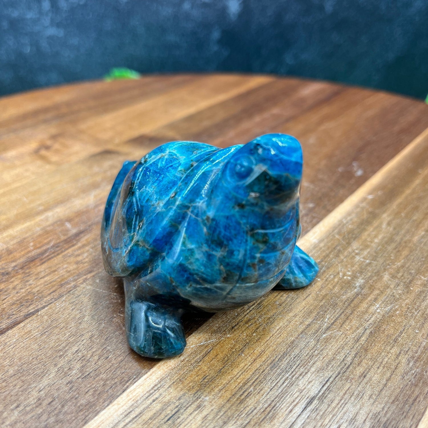 Dark Blue Apatite Turtle - Sage & Magic