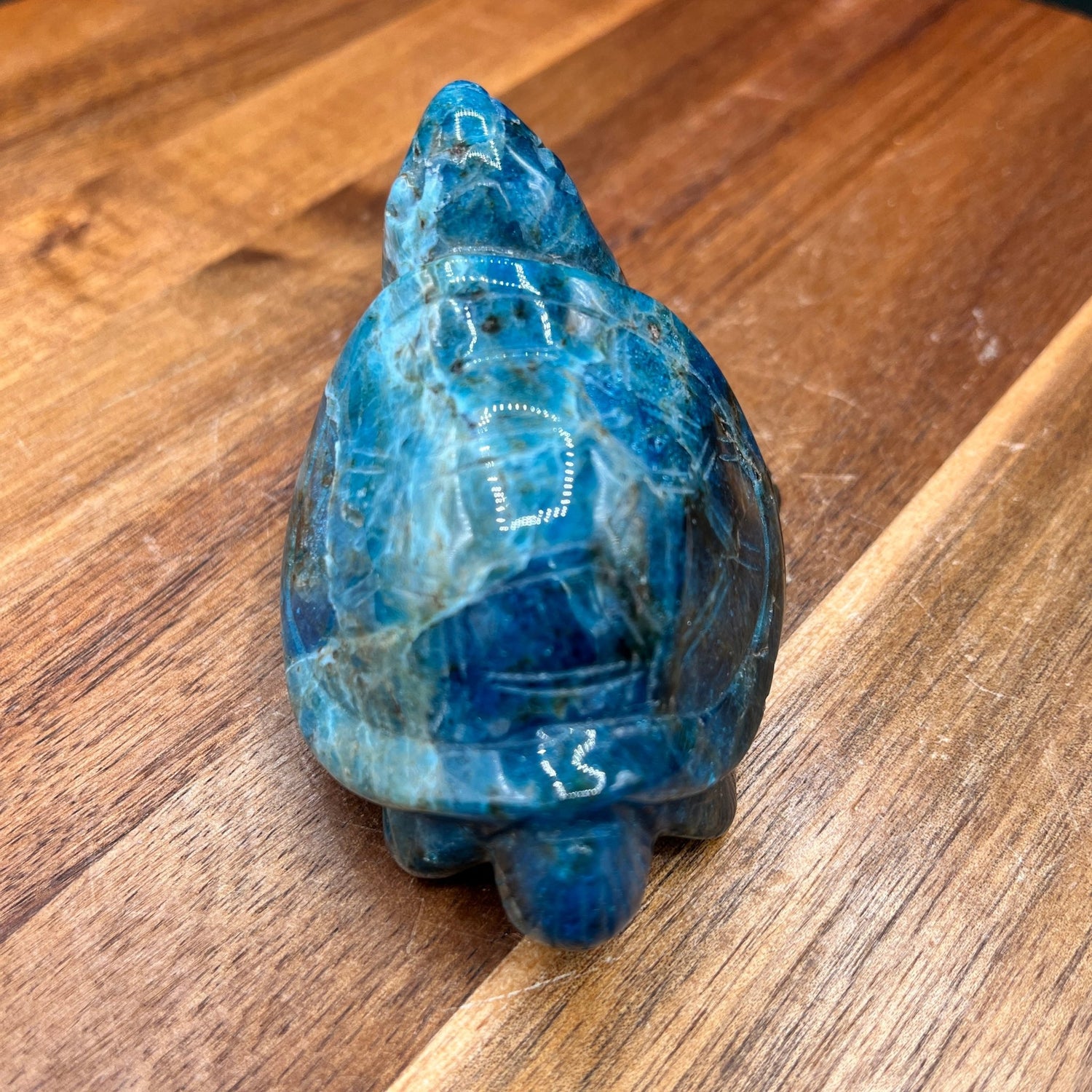 Dark Blue Apatite Turtle - Sage & Magic