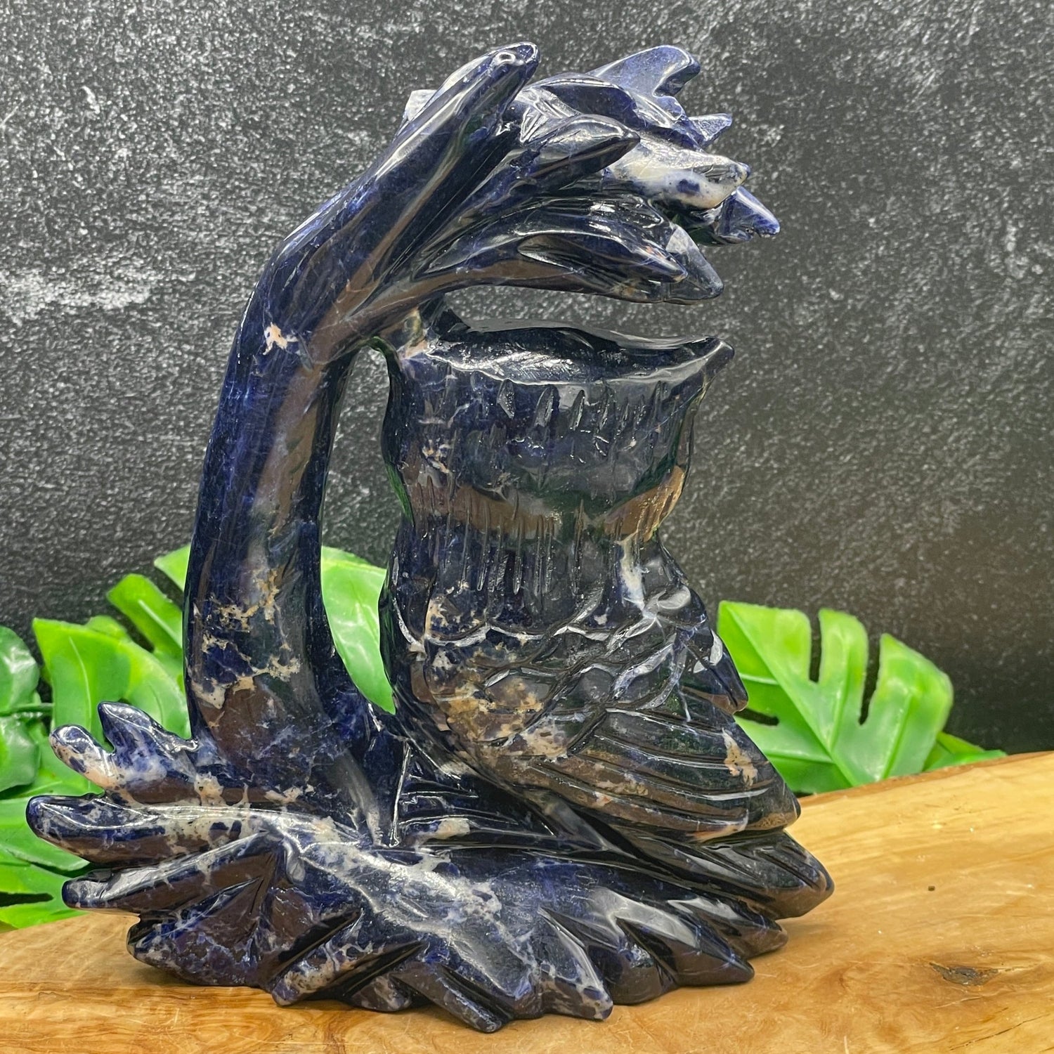 Deep Blue Sodalite Owl under Tree - Sage & Magic