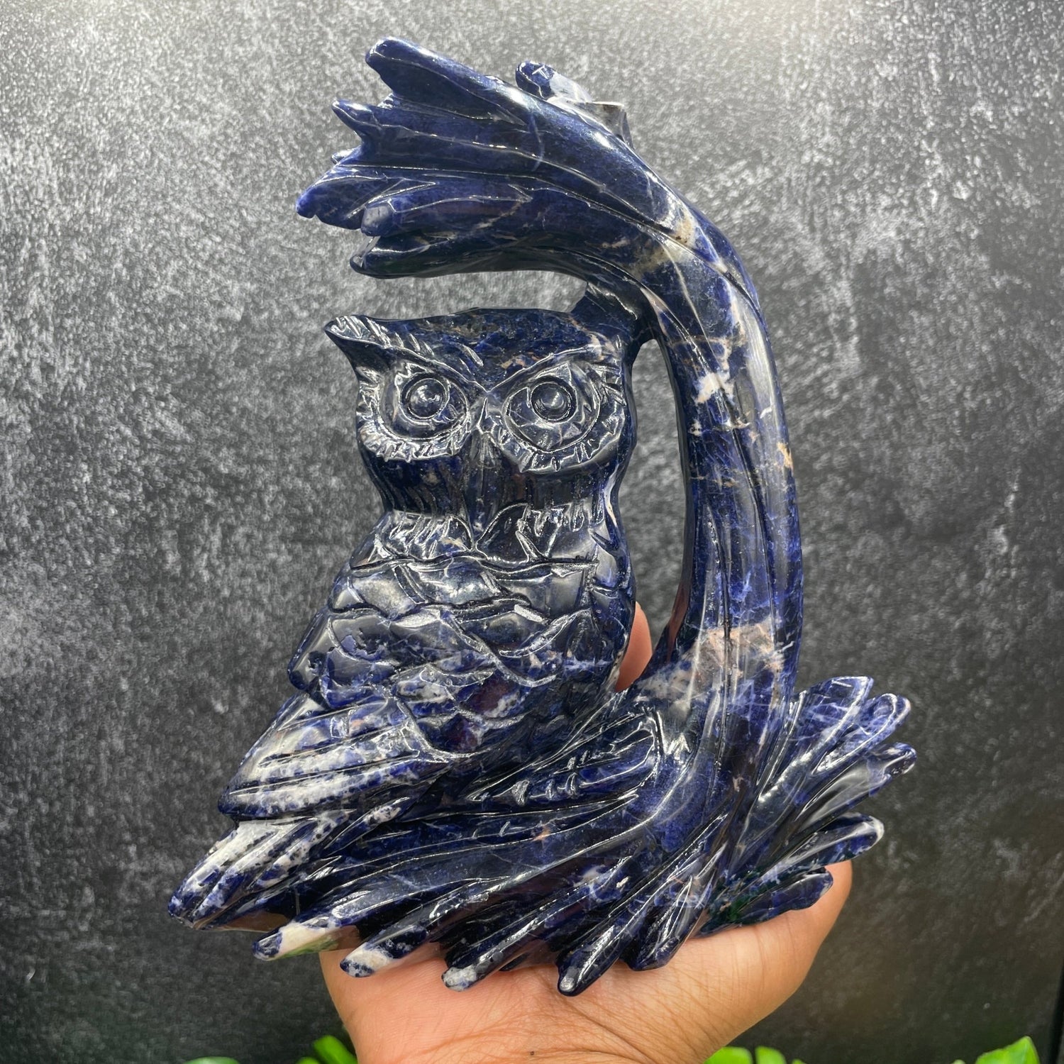 Deep Blue Sodalite Owl under Tree - Sage & Magic