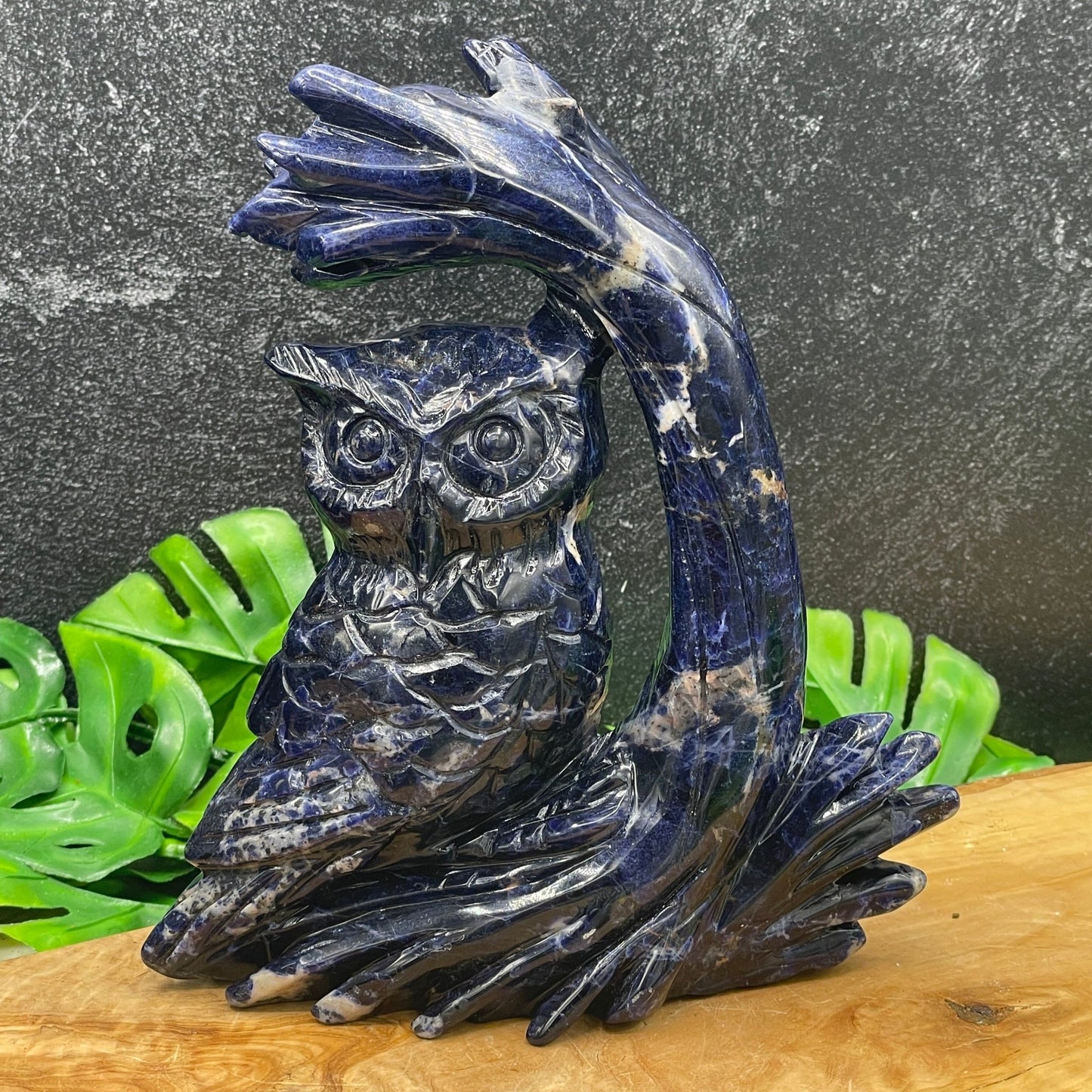 Deep Blue Sodalite Owl under Tree - Sage & Magic