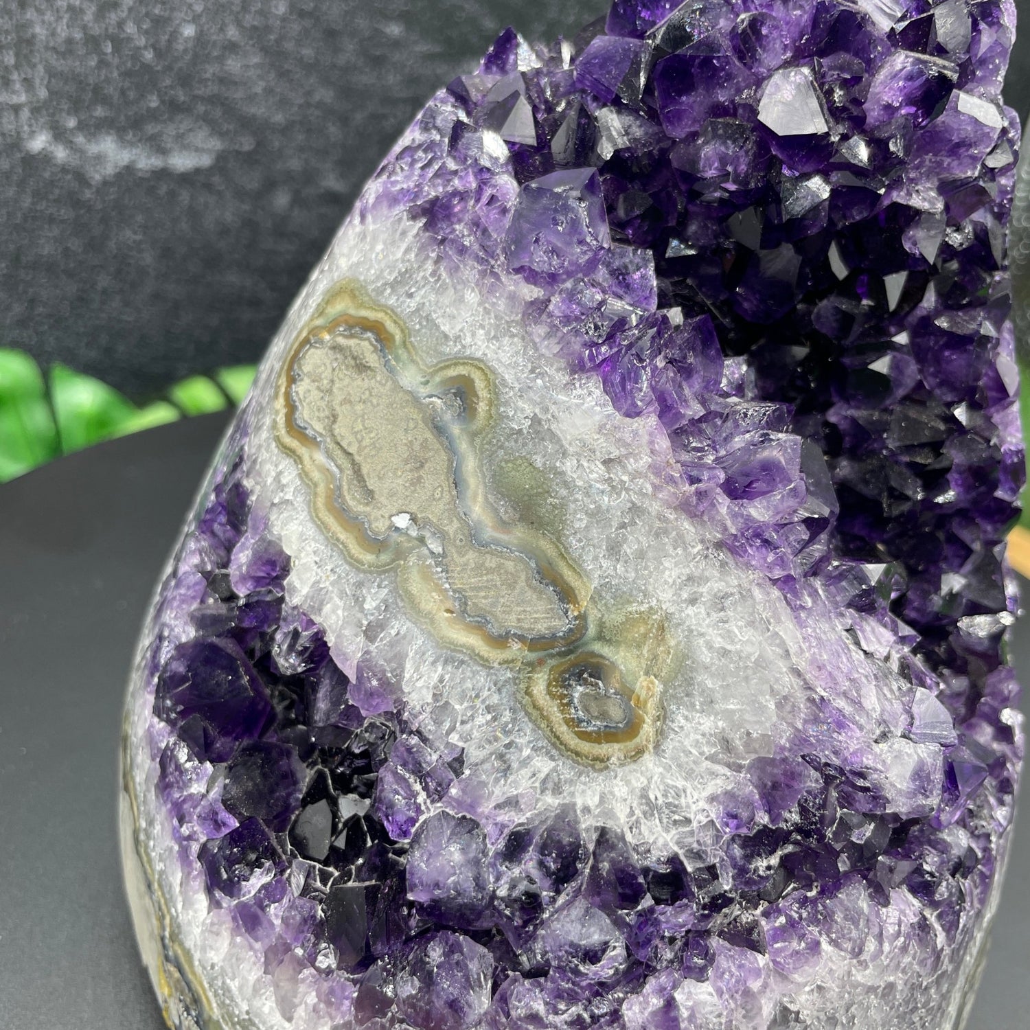 Deep Purple Amethyst Stalactite Cluster - Sage & Magic