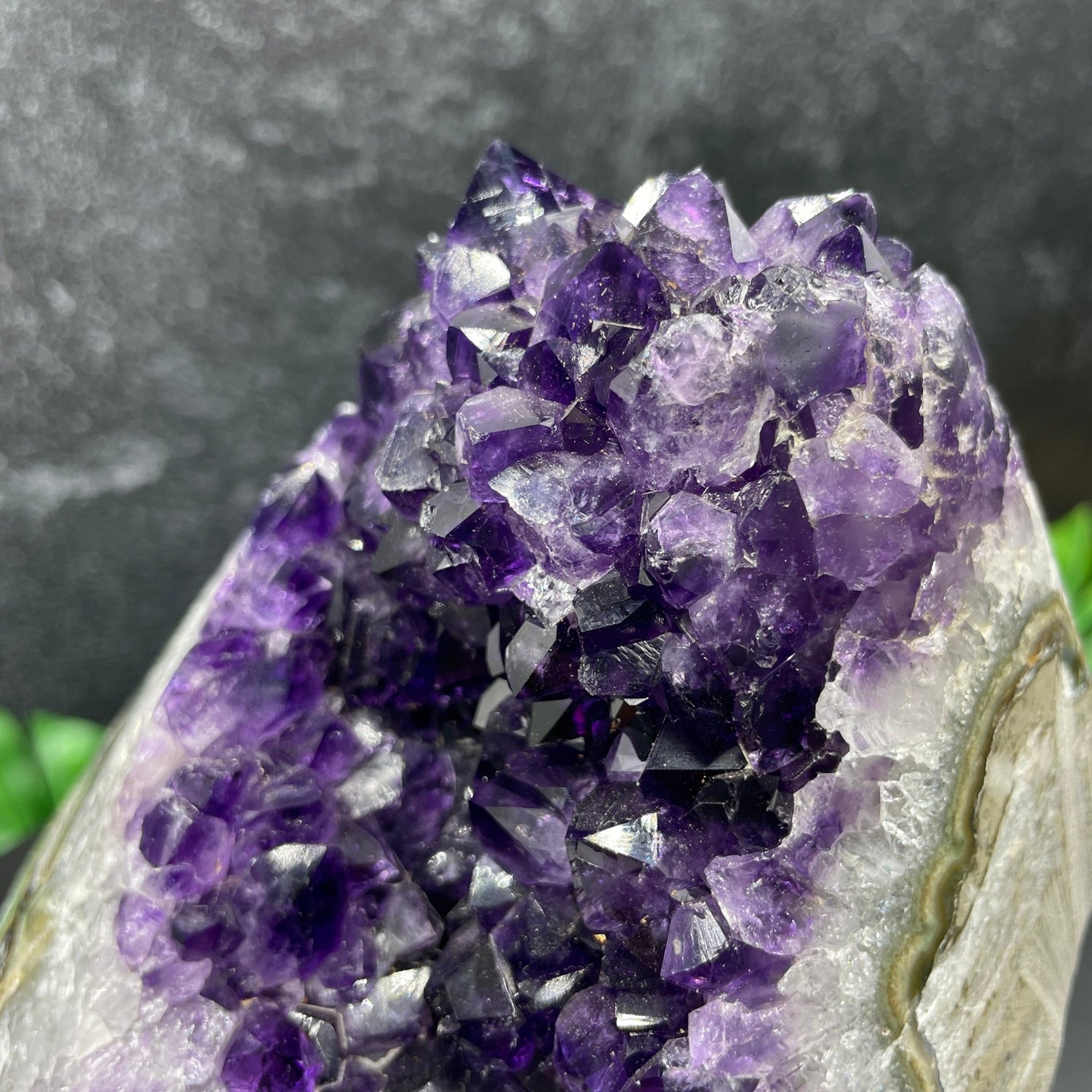 Deep Purple Amethyst Stalactite Cluster - Sage & Magic