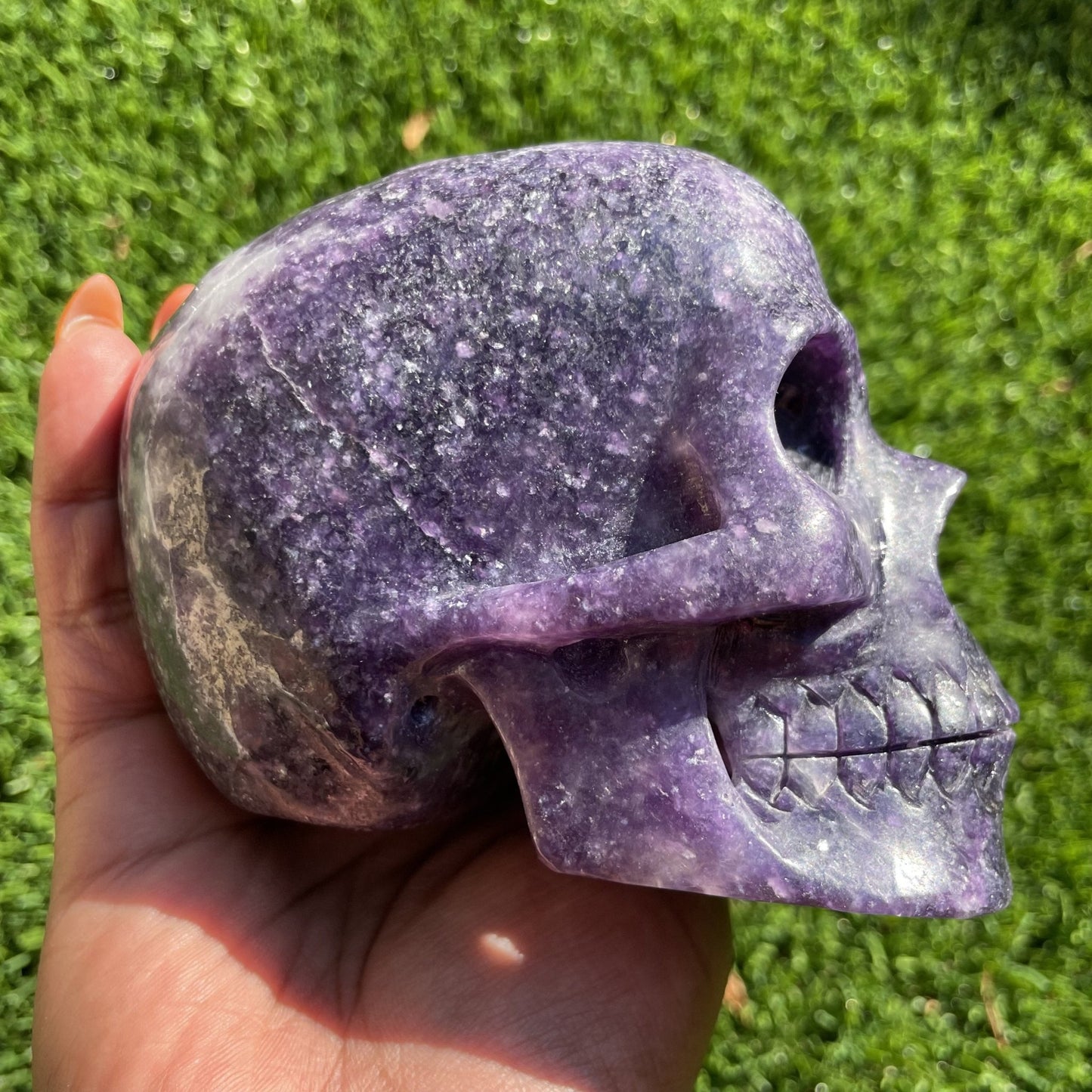 Deep Purple Lepidolite Hollowed - Out Skull - Sage & Magic