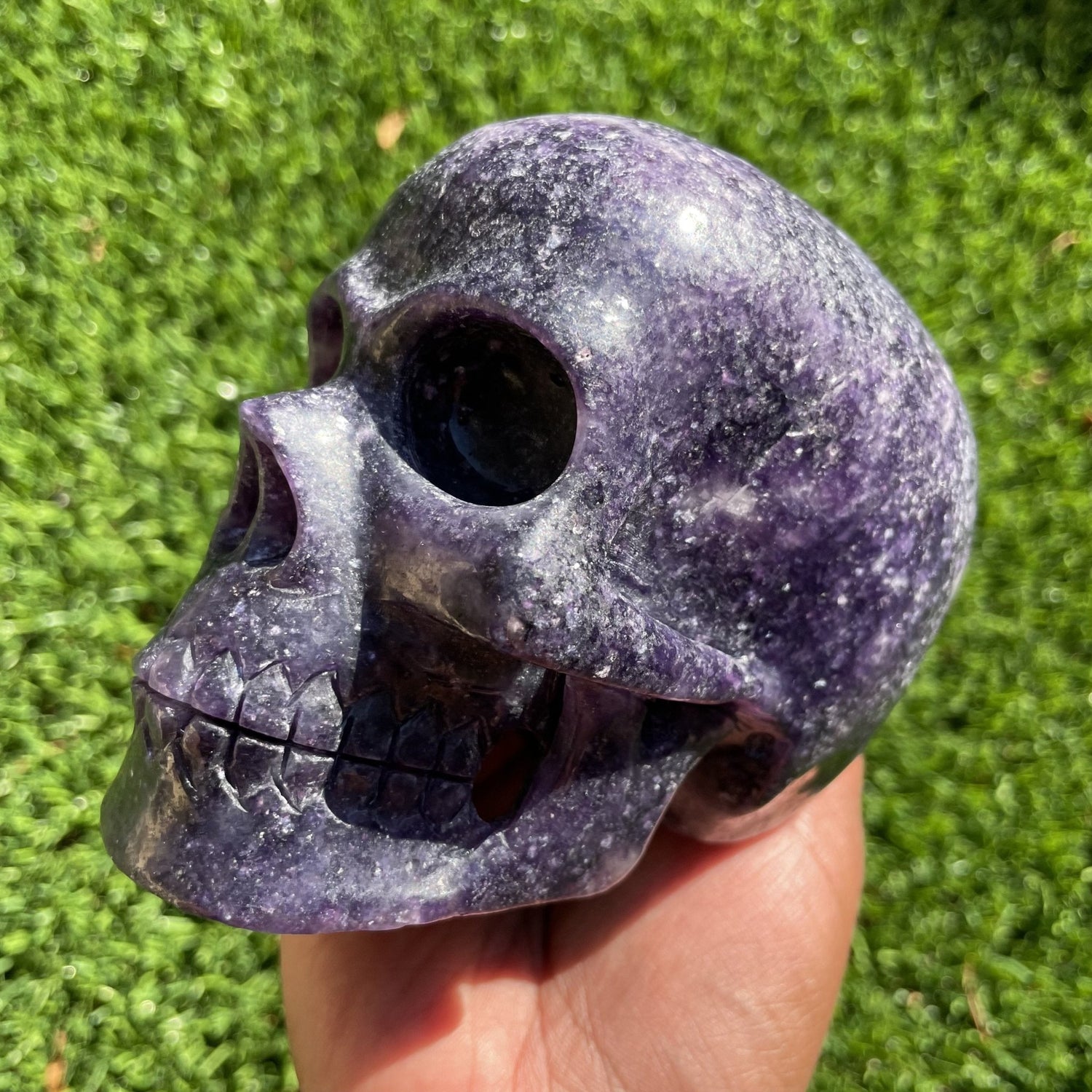 Deep Purple Lepidolite Hollowed - Out Skull - Sage & Magic