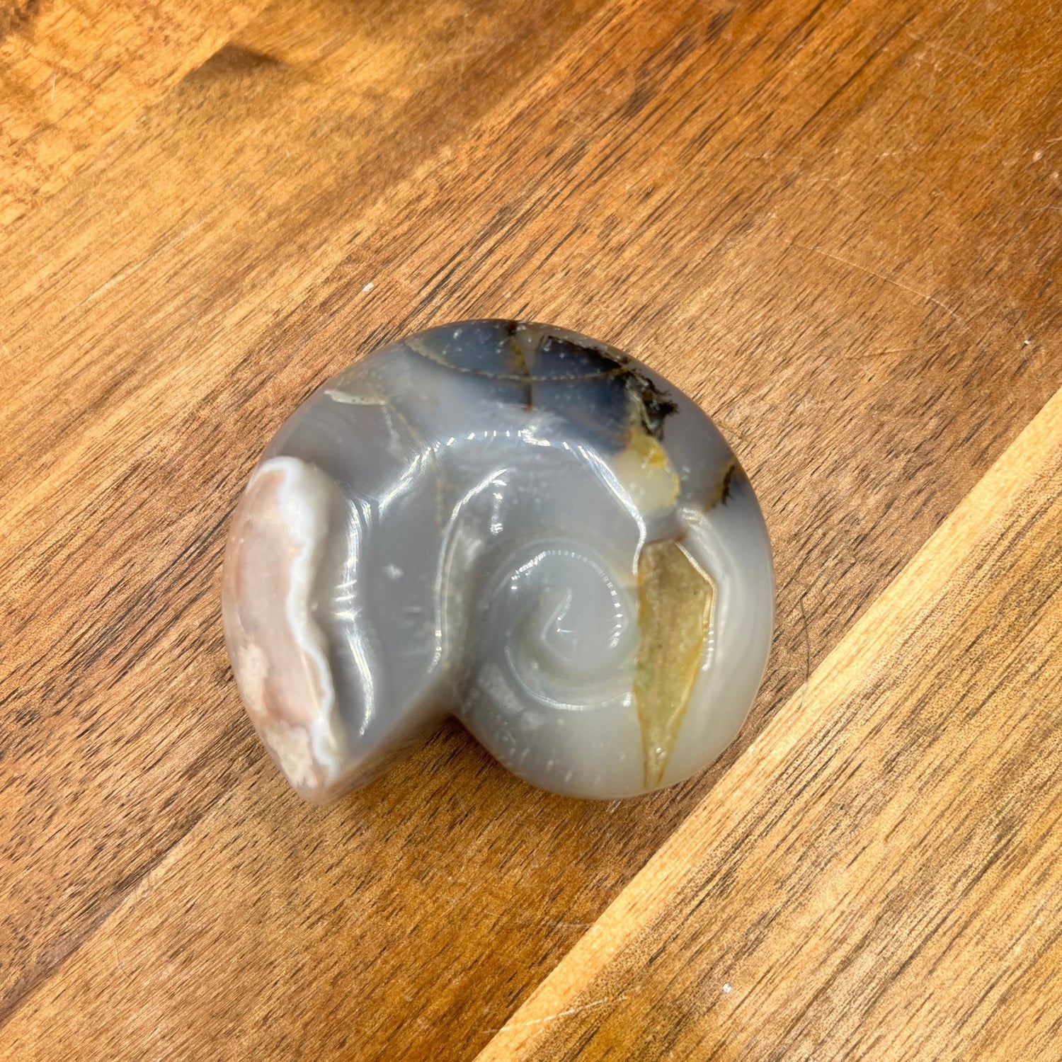 Dendrite Flower Agate Ammonite - Sage & Magic