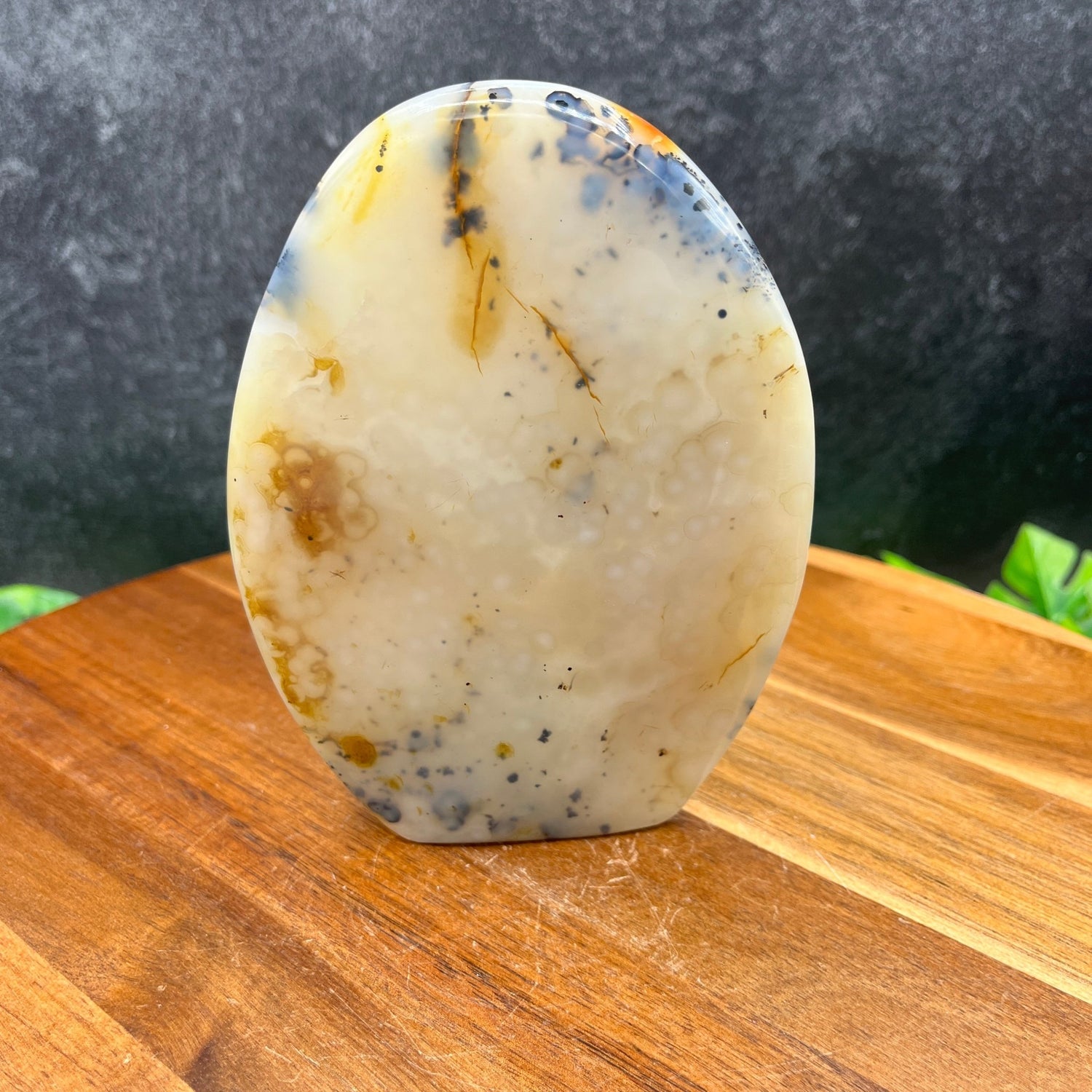 Dendritic Agate Freeform - Sage & Magic