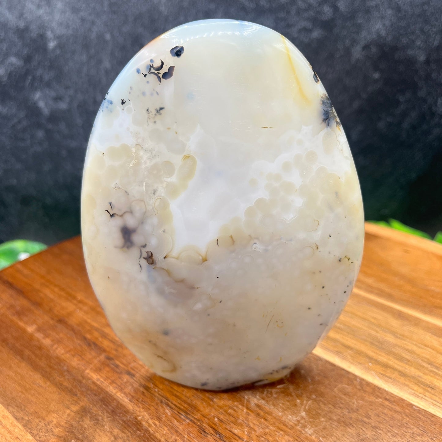 Dendritic Agate Freeform - Sage & Magic