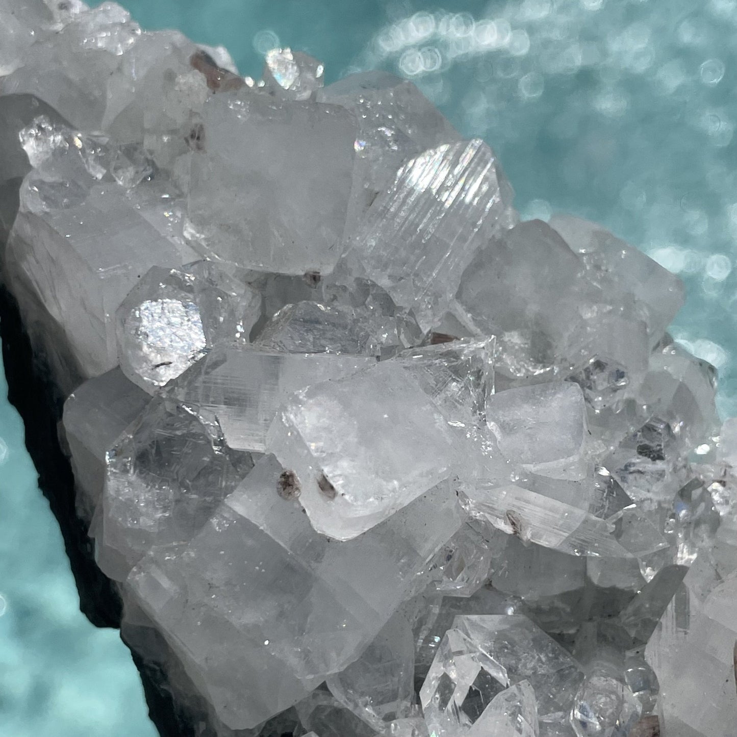 Diamond Apophyllite Cluster - Sage & Magic