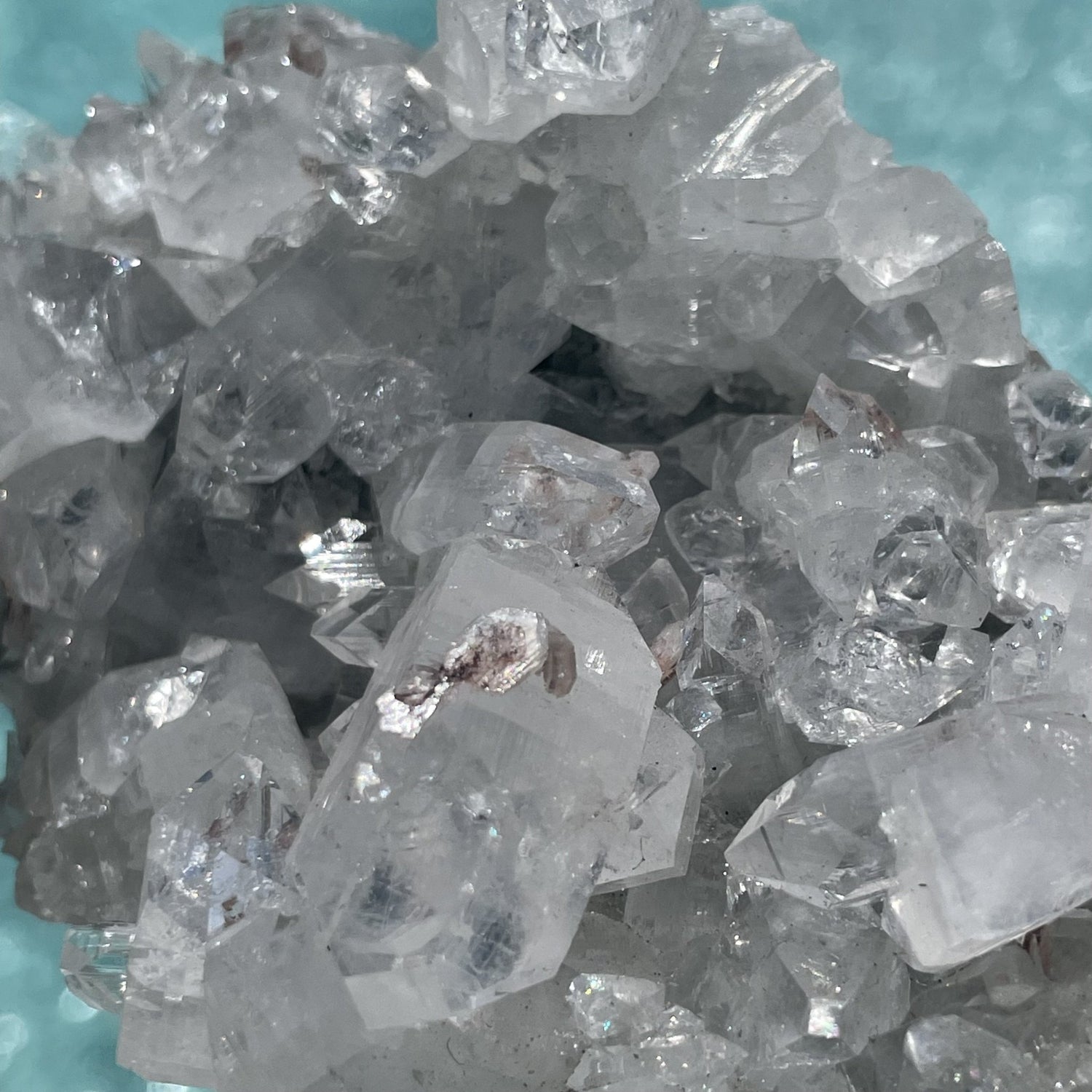 Diamond Apophyllite Cluster - Sage & Magic