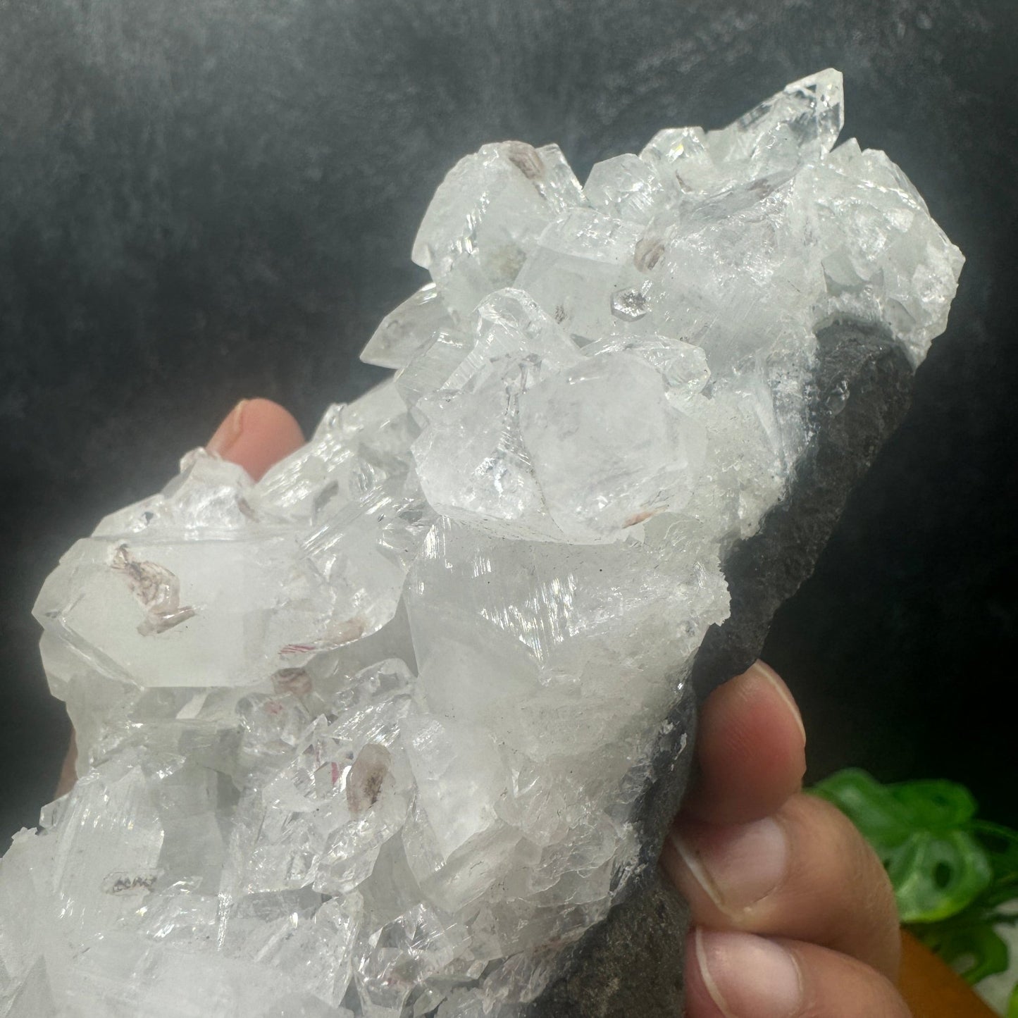 Diamond Apophyllite Cluster - Sage & Magic