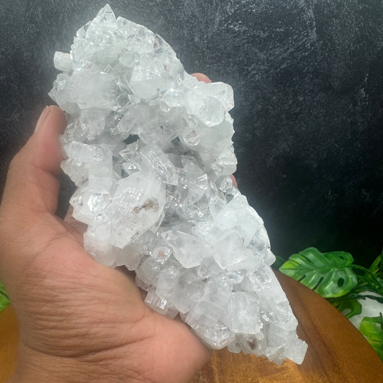 Diamond Apophyllite Cluster - Sage & Magic