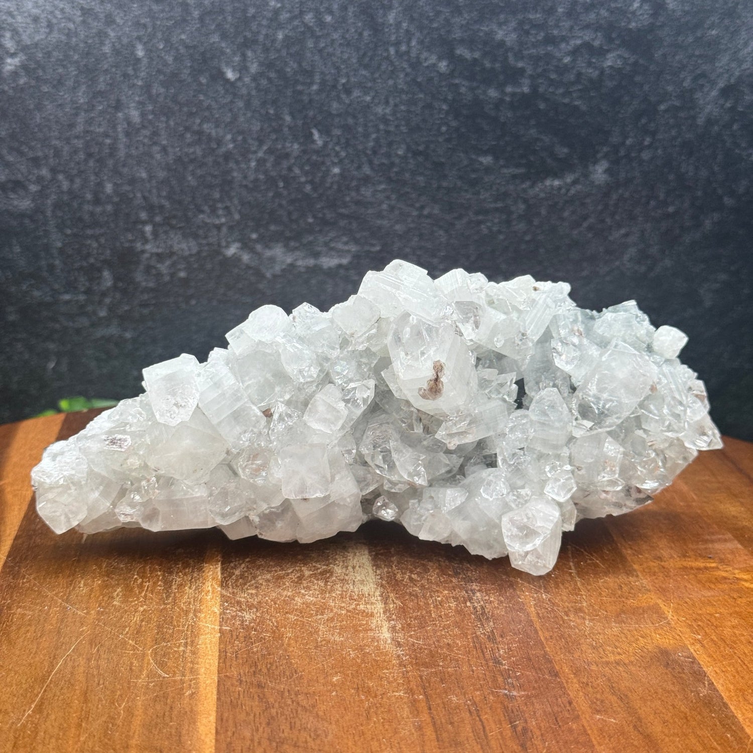 Diamond Apophyllite Cluster - Sage & Magic