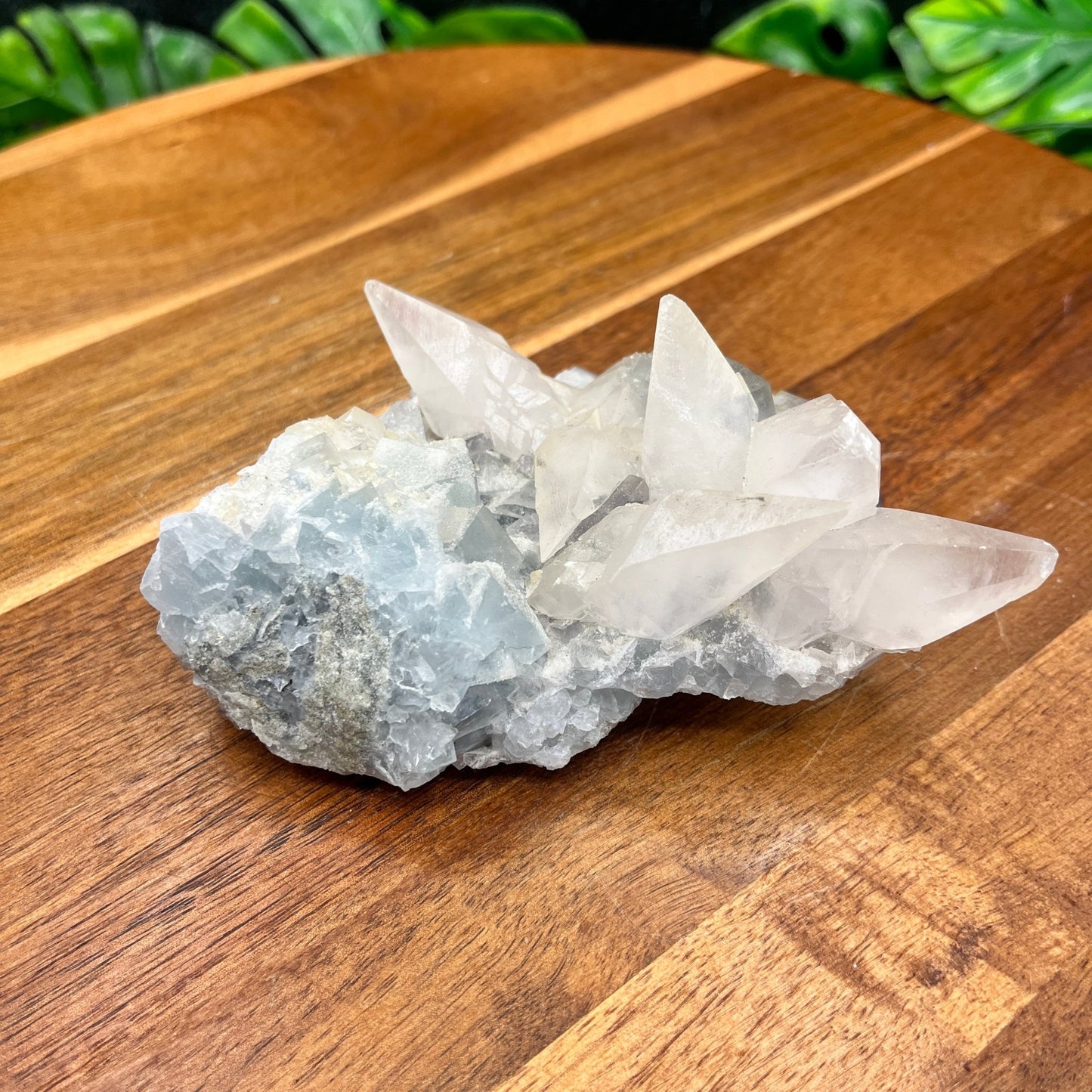 Dogtooth Calcite on Blue Fluorite - Sage & Magic