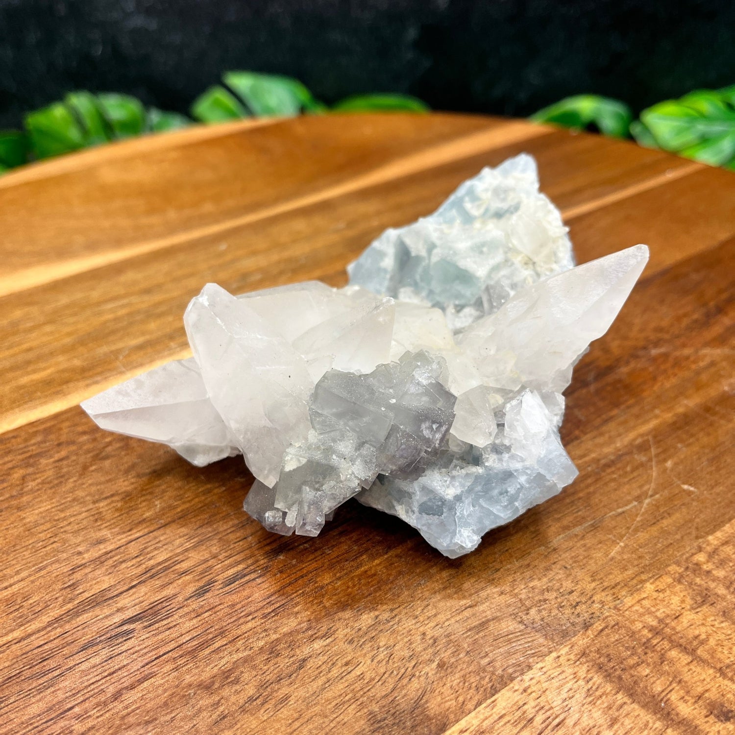 Dogtooth Calcite on Blue Fluorite - Sage & Magic