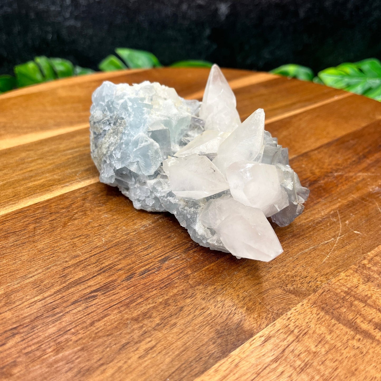 Dogtooth Calcite on Blue Fluorite - Sage & Magic