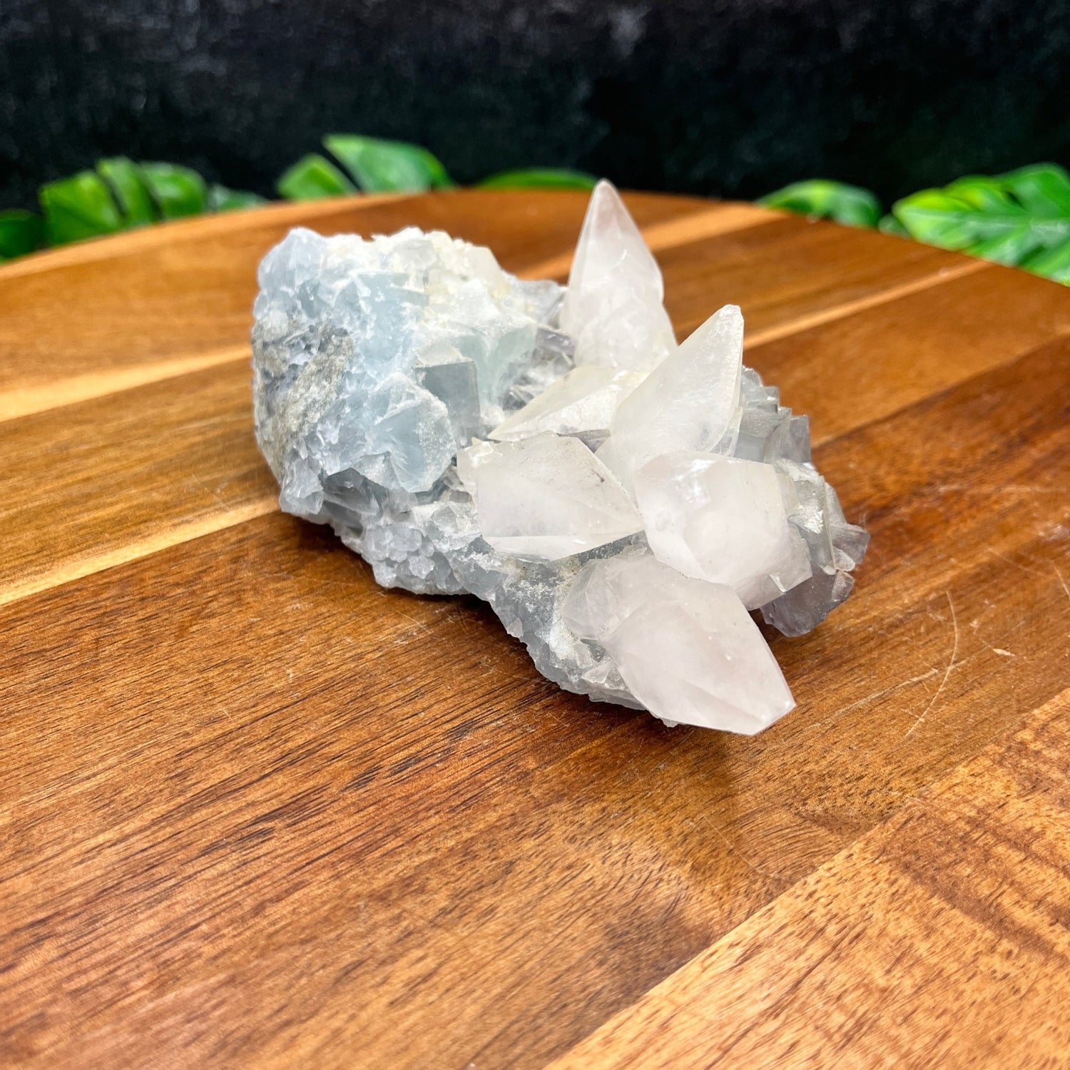 Dogtooth Calcite on Blue Fluorite - Sage & Magic