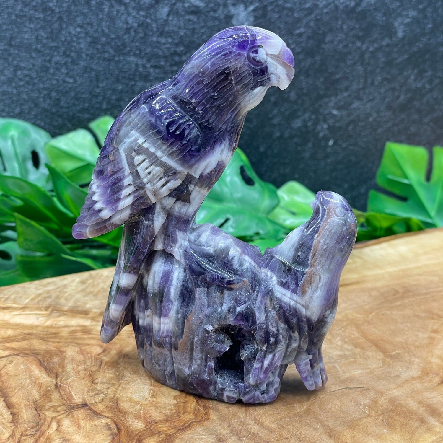 Dream Amethyst Parrot - Sage & Magic