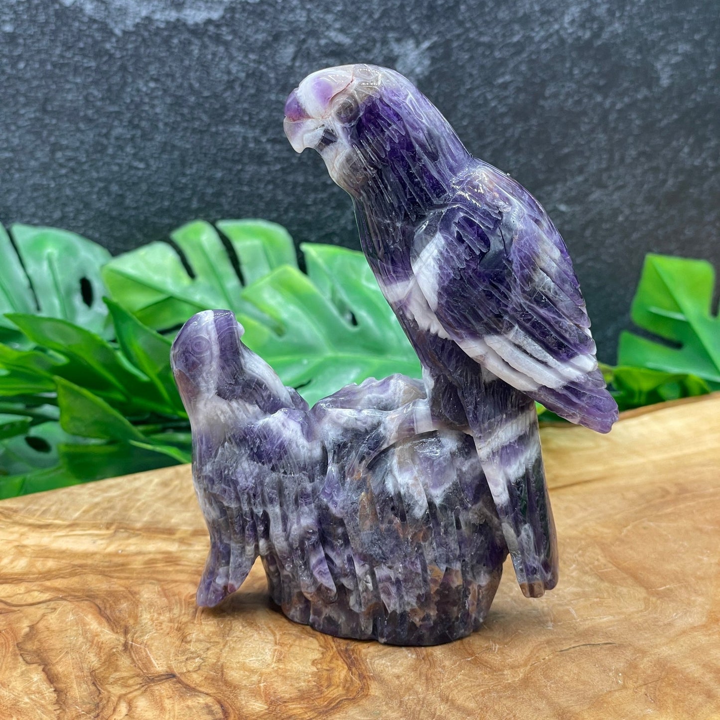 Dream Amethyst Parrot - Sage & Magic