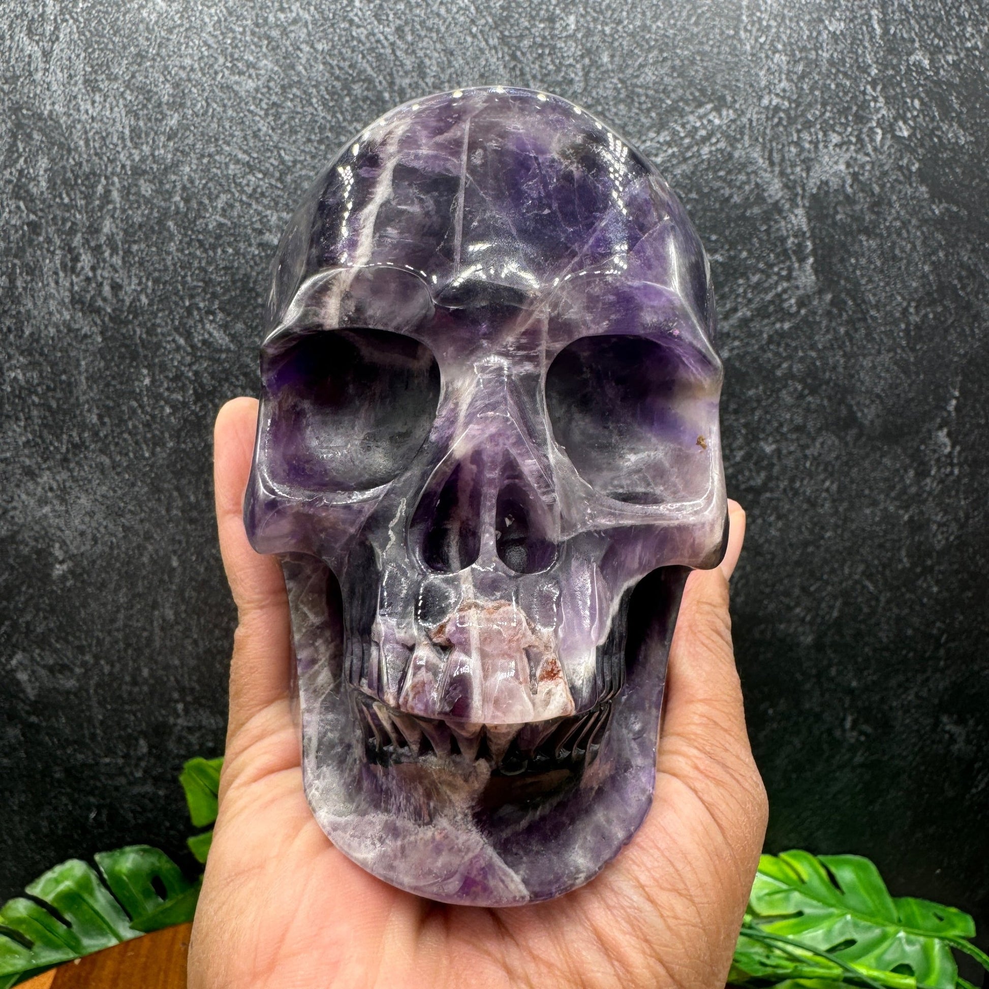 Dream Amethyst Skull - Sage & Magic
