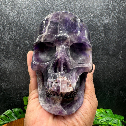 Dream Amethyst Skull - Sage & Magic
