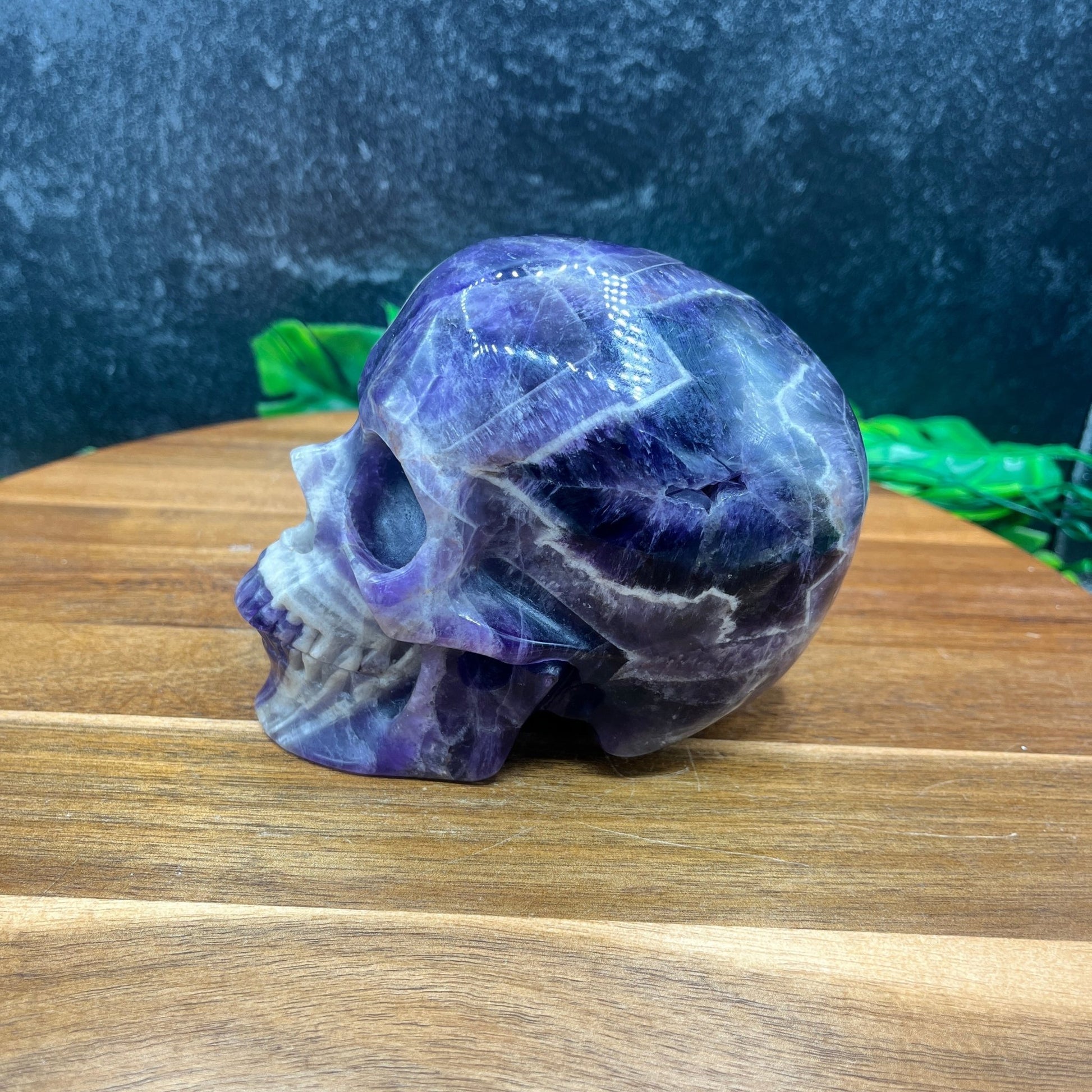 Dream Amethyst Skull - Sage & Magic