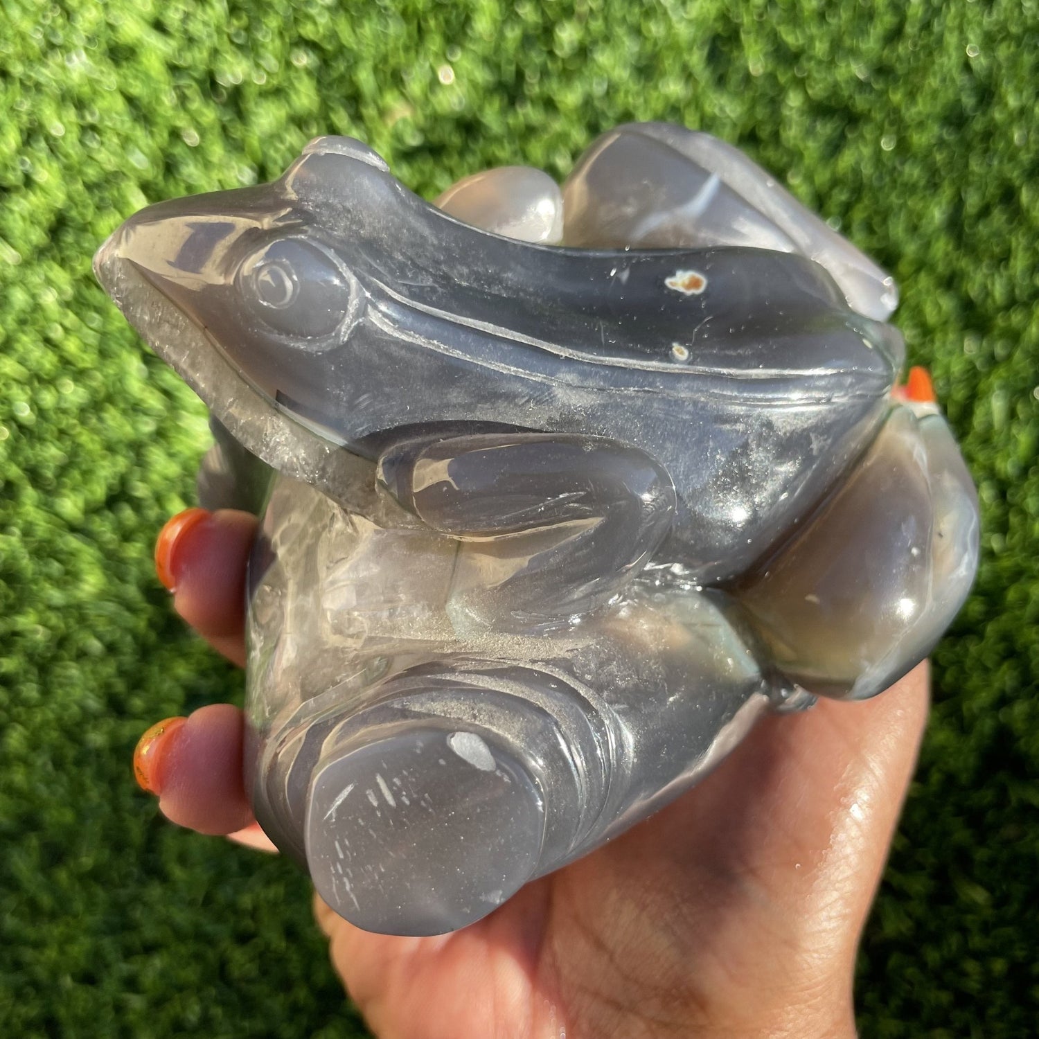 Druzy Agate Frog - Sage & Magic