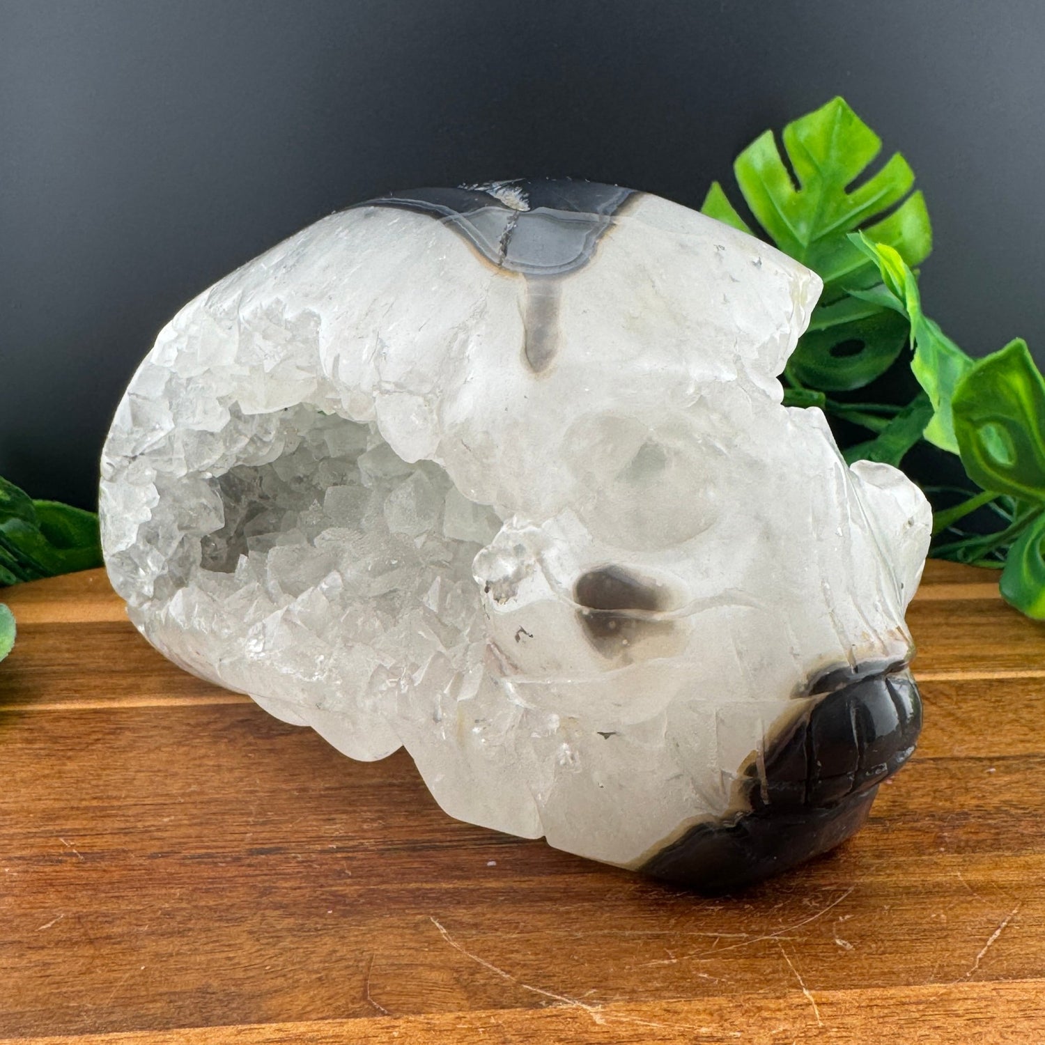 Druzy Agate Open Mayan Skull - Sage & Magic