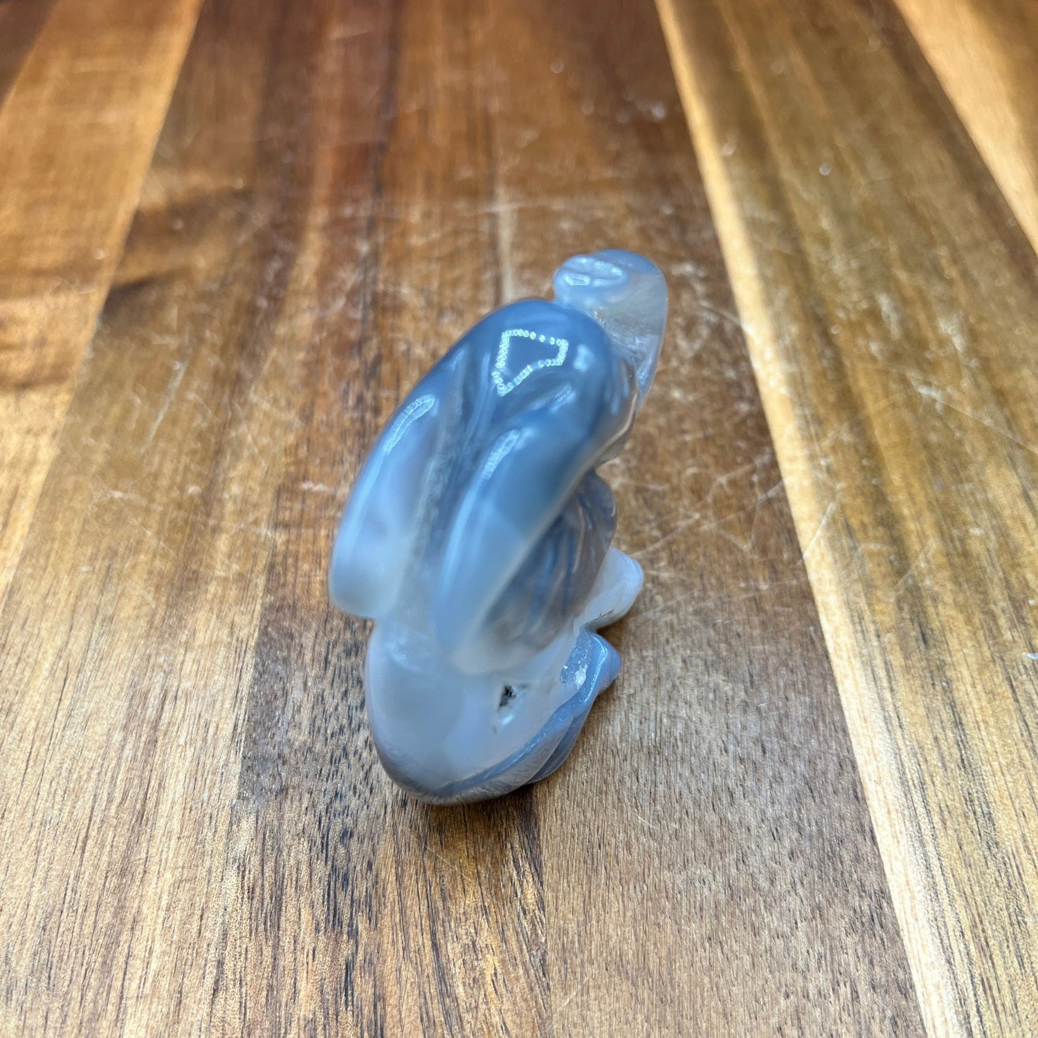 Druzy Agate Snail Elephant - Sage & Magic