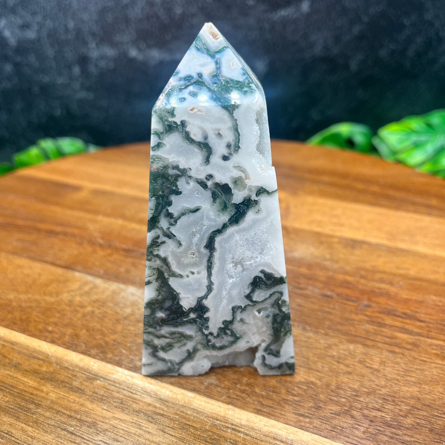 Druzy Moss Agate Tower - Sage & Magic