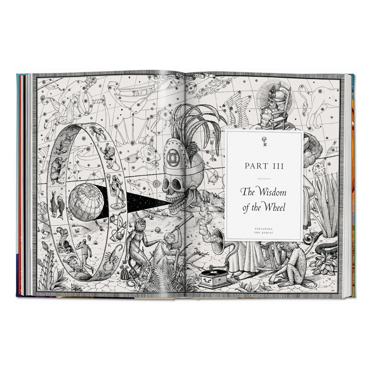 Astrology. The Library of Esoterica (English)