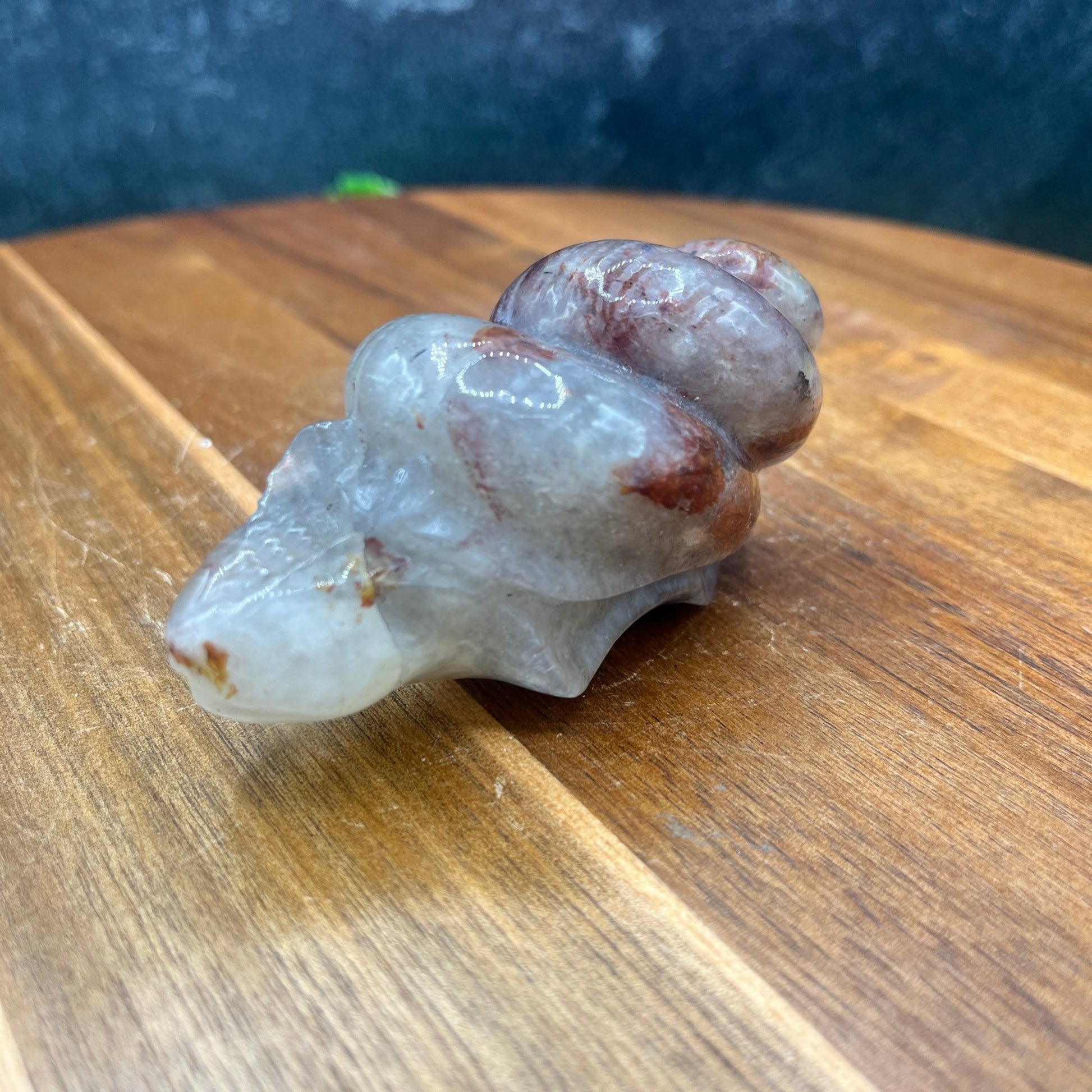 Fire Quartz Snail - Sage & Magic