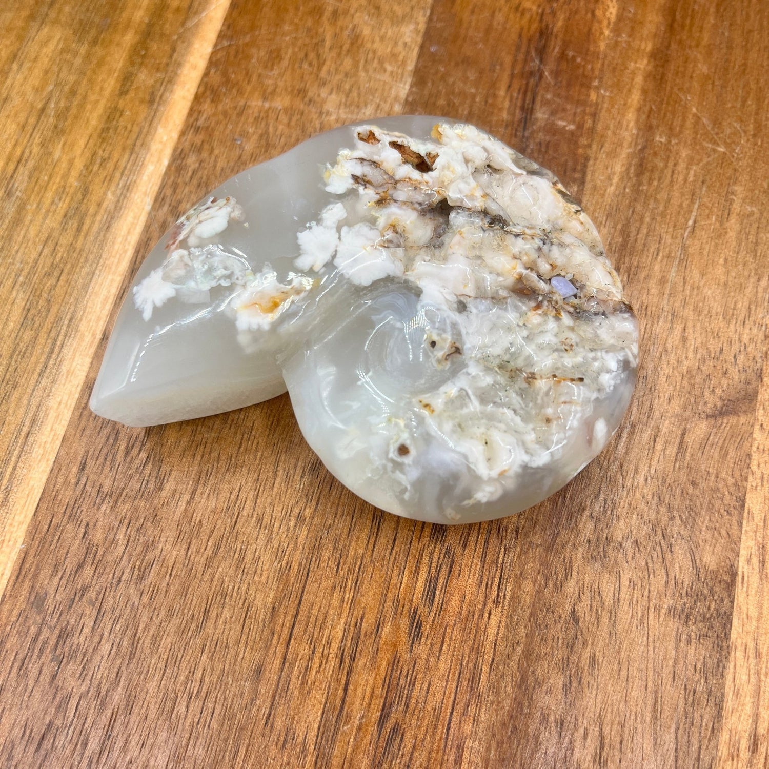 Flower Agate Ammonite - Sage & Magic