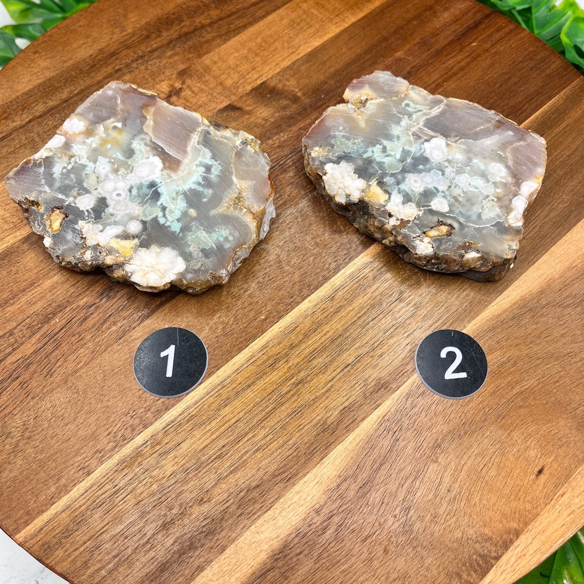 Flower Agate Slab - Sage & Magic