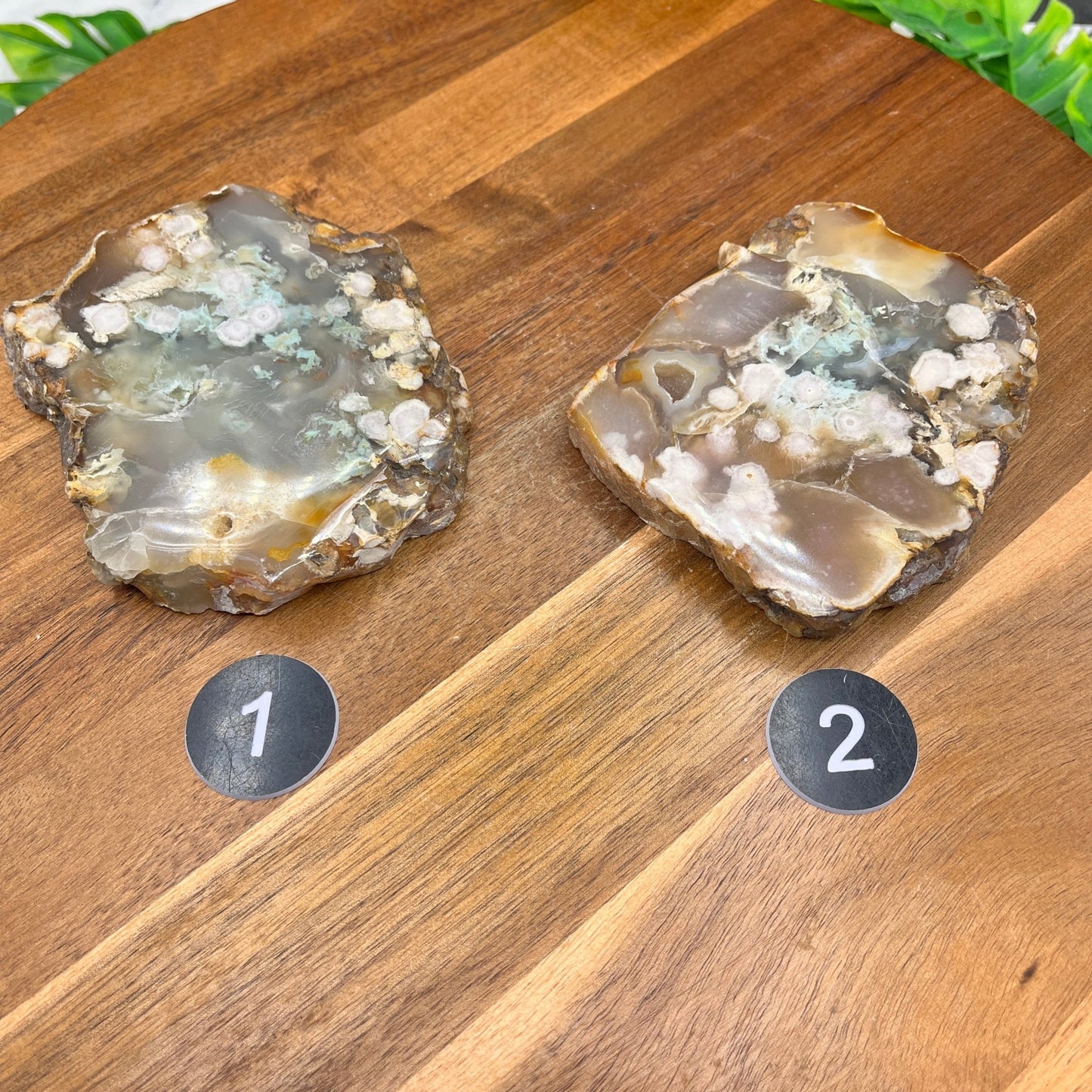 Flower Agate Slab - Sage & Magic