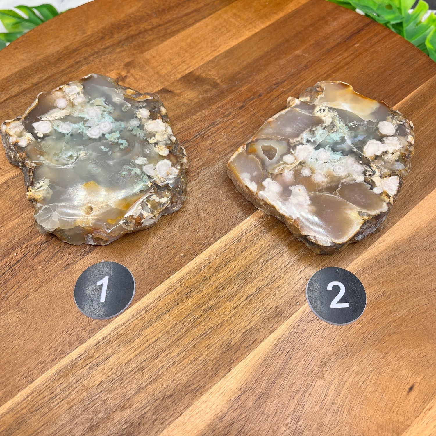 Flower Agate Slab - Sage & Magic