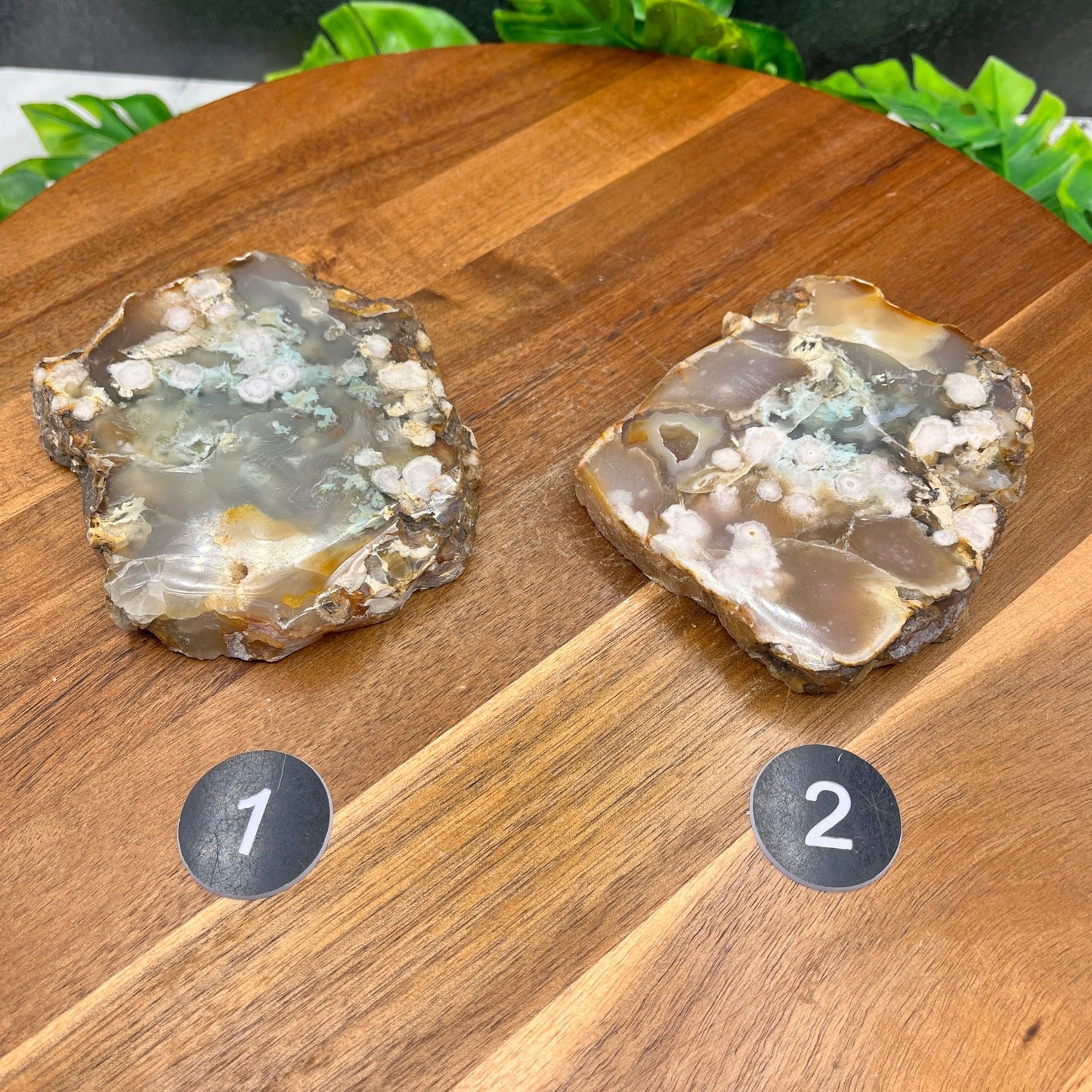 Flower Agate Slab - Sage & Magic