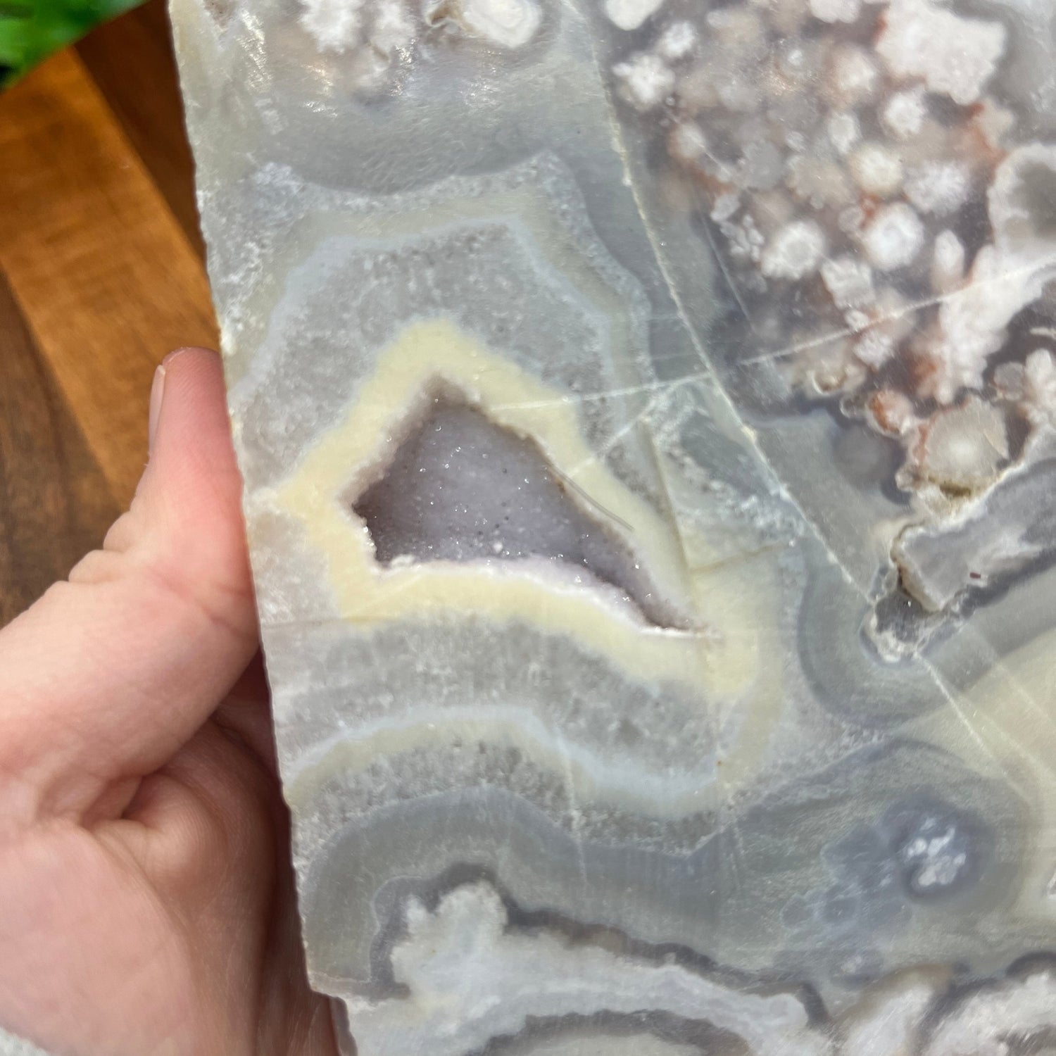 Flower Agate Slab - Sage & Magic