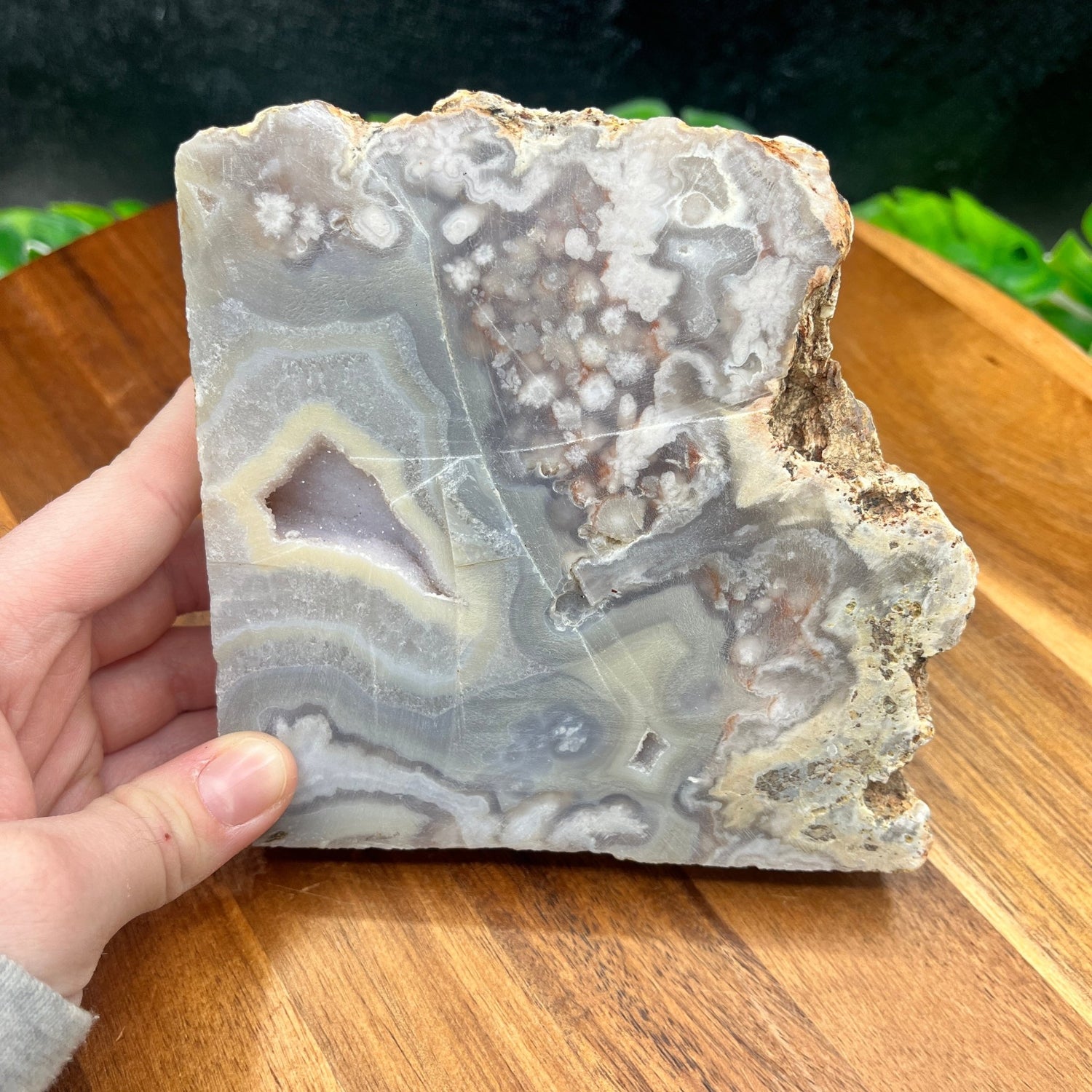 Flower Agate Slab - Sage & Magic