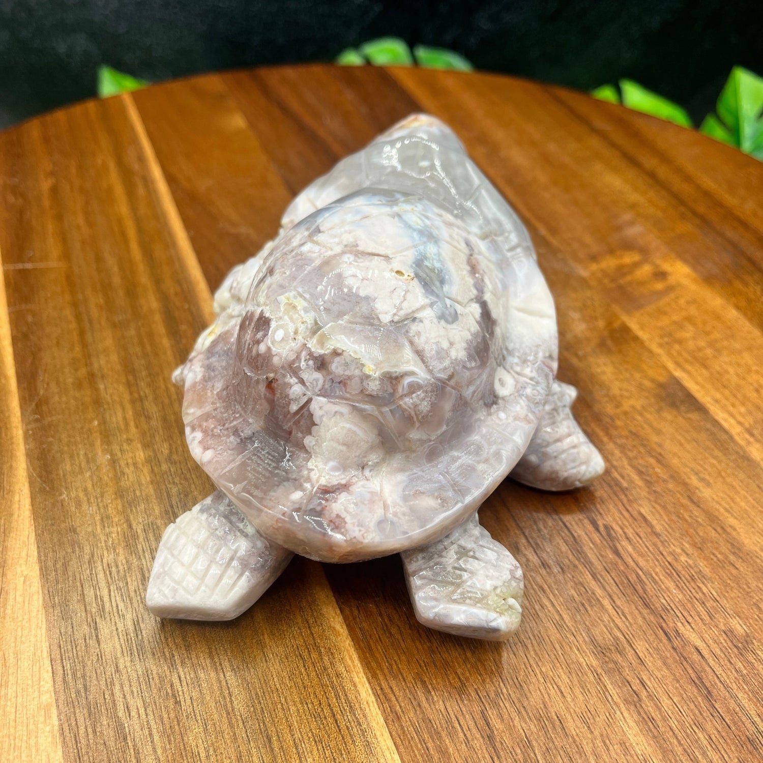 Flower Agate Turtle - Sage & Magic