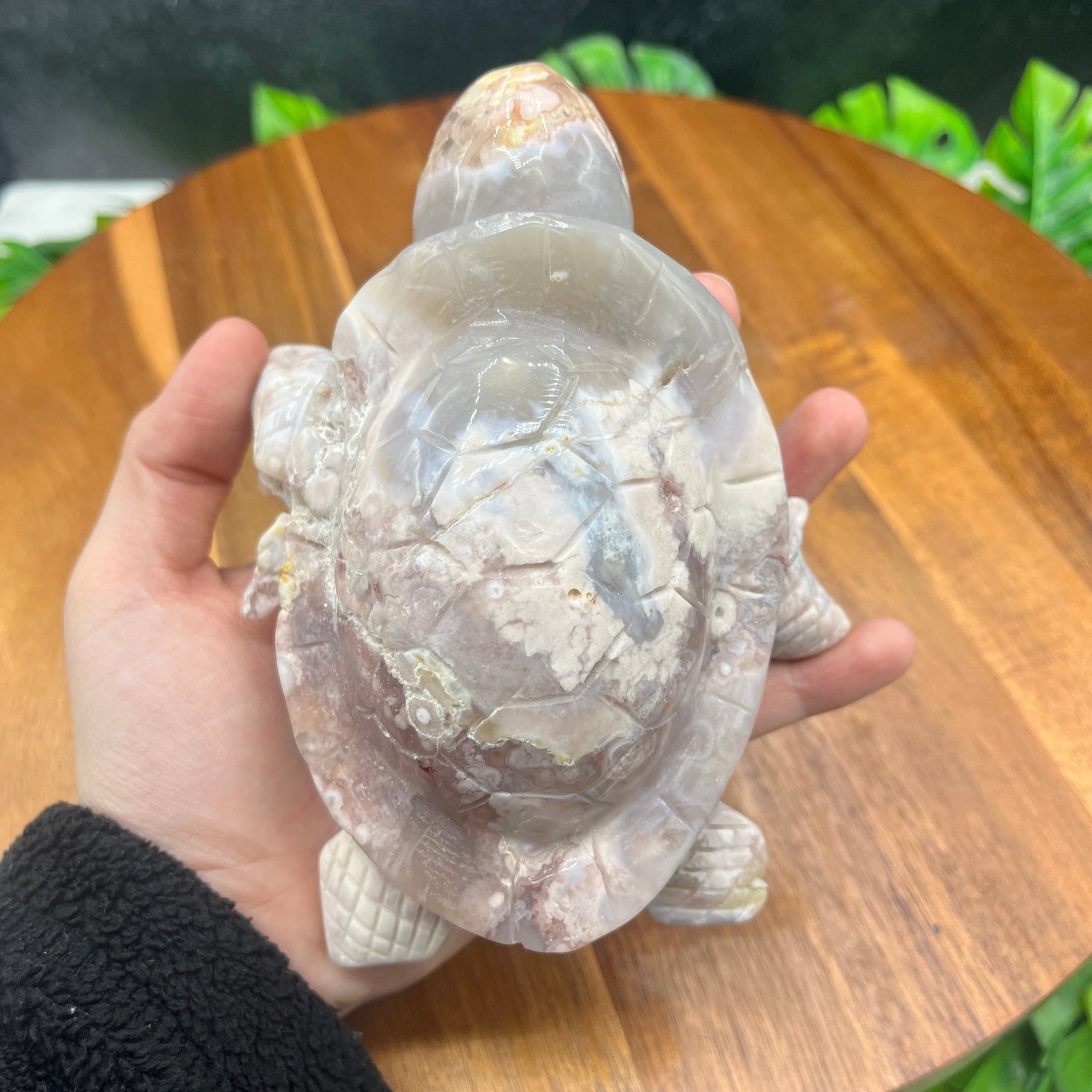 Flower Agate Turtle - Sage & Magic